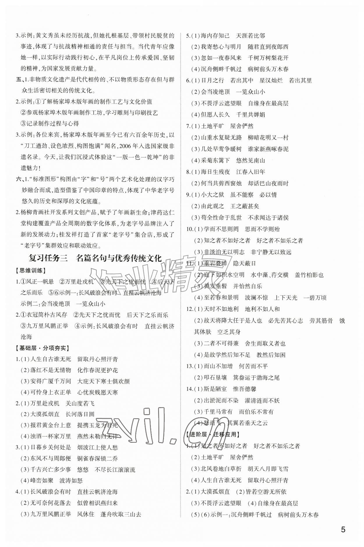 2026年初中总复习手册山东科学技术出版社语文&nbsp;第5页