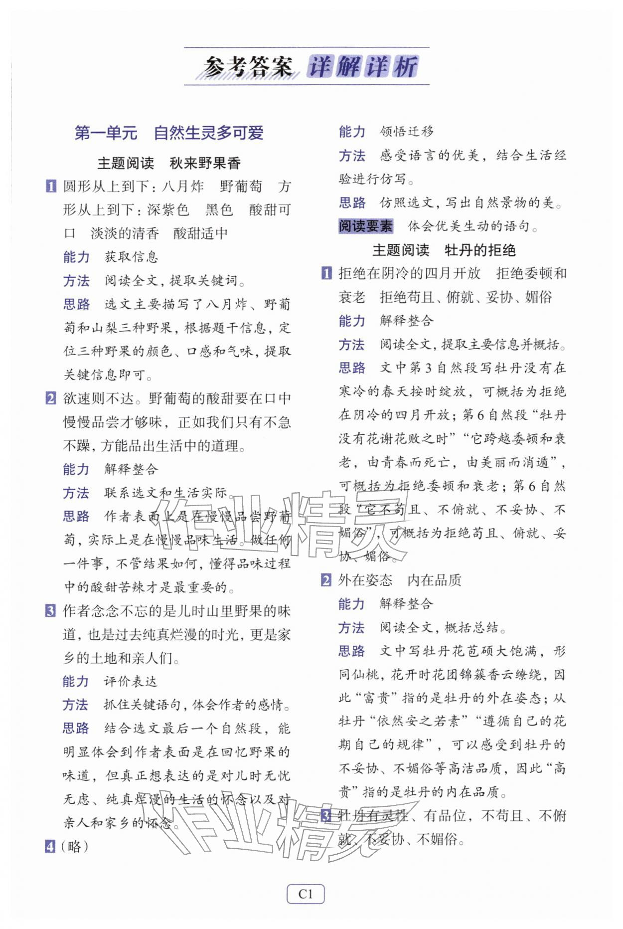 2026年知行合阅读主题拓展训练三年级语文下册人教版&nbsp;第1页