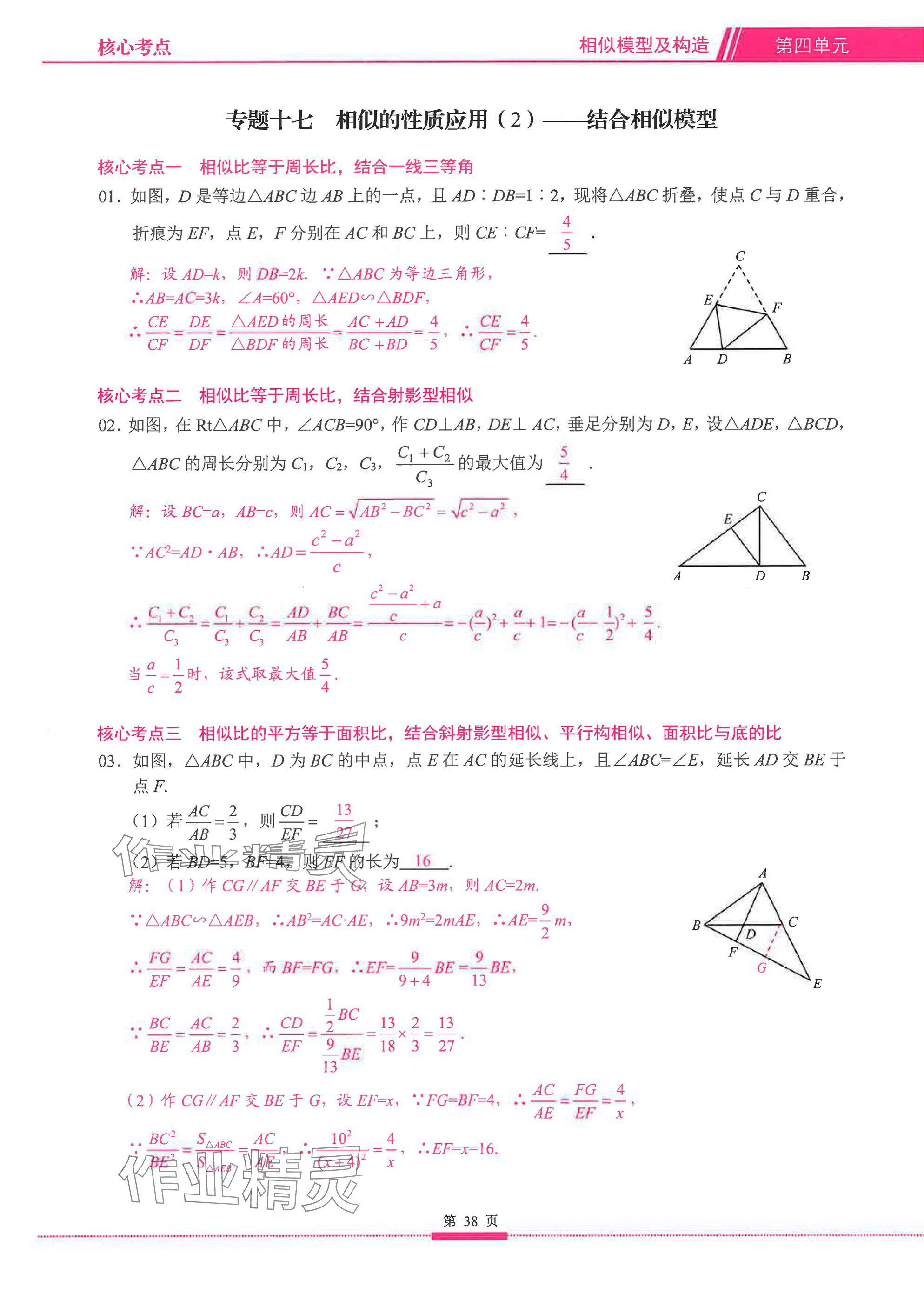2025年名校学典核心考点延边大学出版社数学&nbsp;参考答案第38页