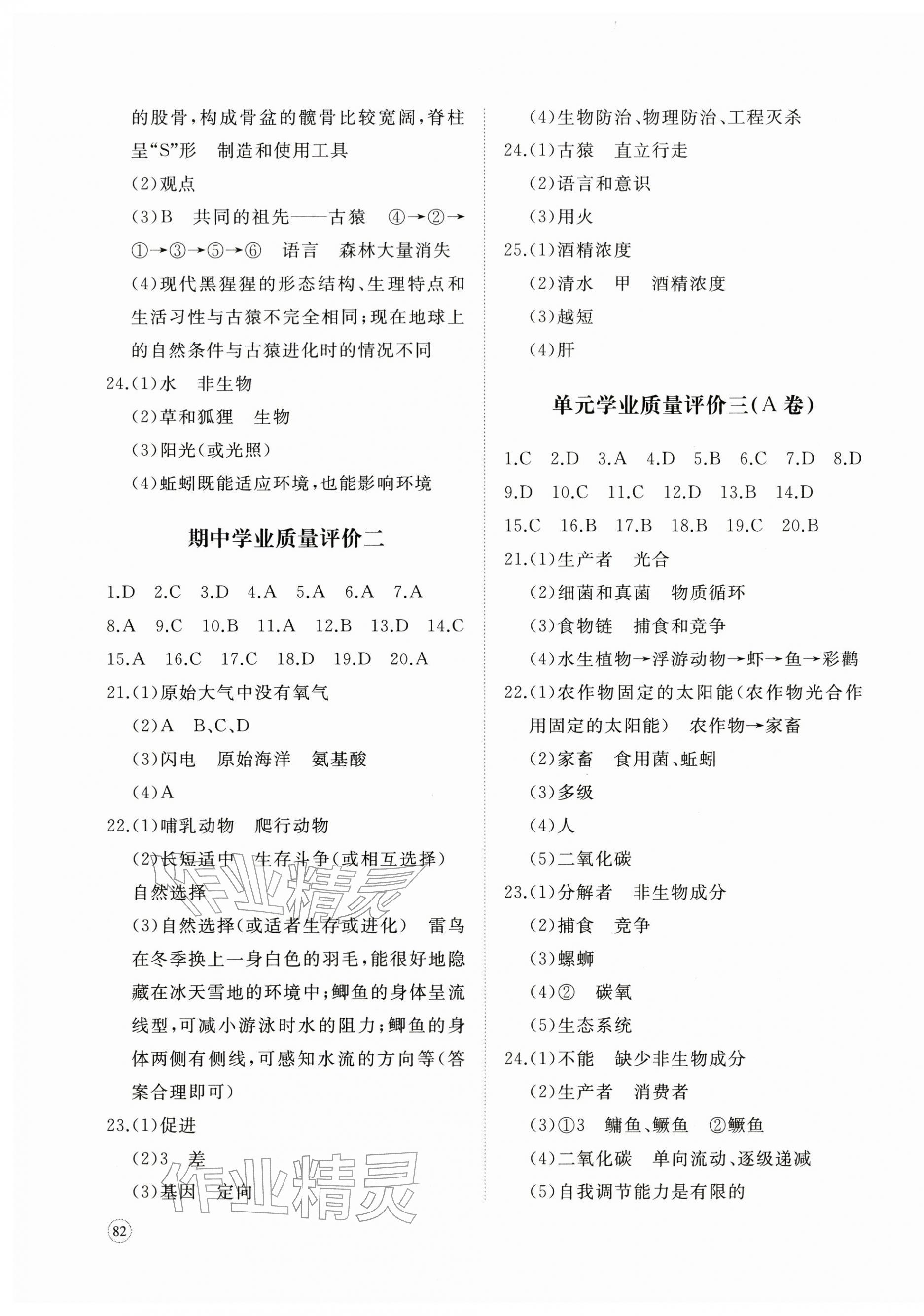 2026年精练课堂分层作业八年级生物下册济南版&nbsp;第3页