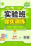 2024年實驗班提優(yōu)訓練九年級化學下冊人教版