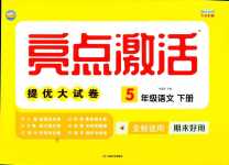 2024年亮點激活提優(yōu)大試卷五年級語文下冊人教版