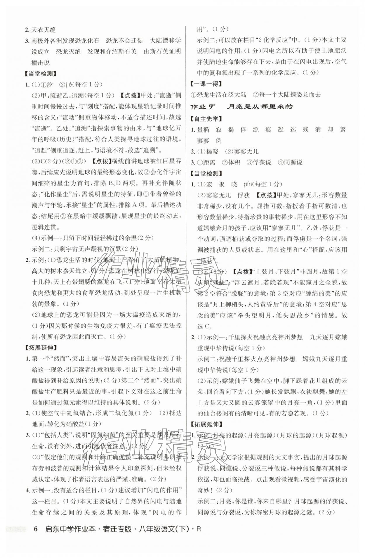 2026年启东中学作业本八年级语文下册人教版宿迁专版&nbsp;参考答案第6页