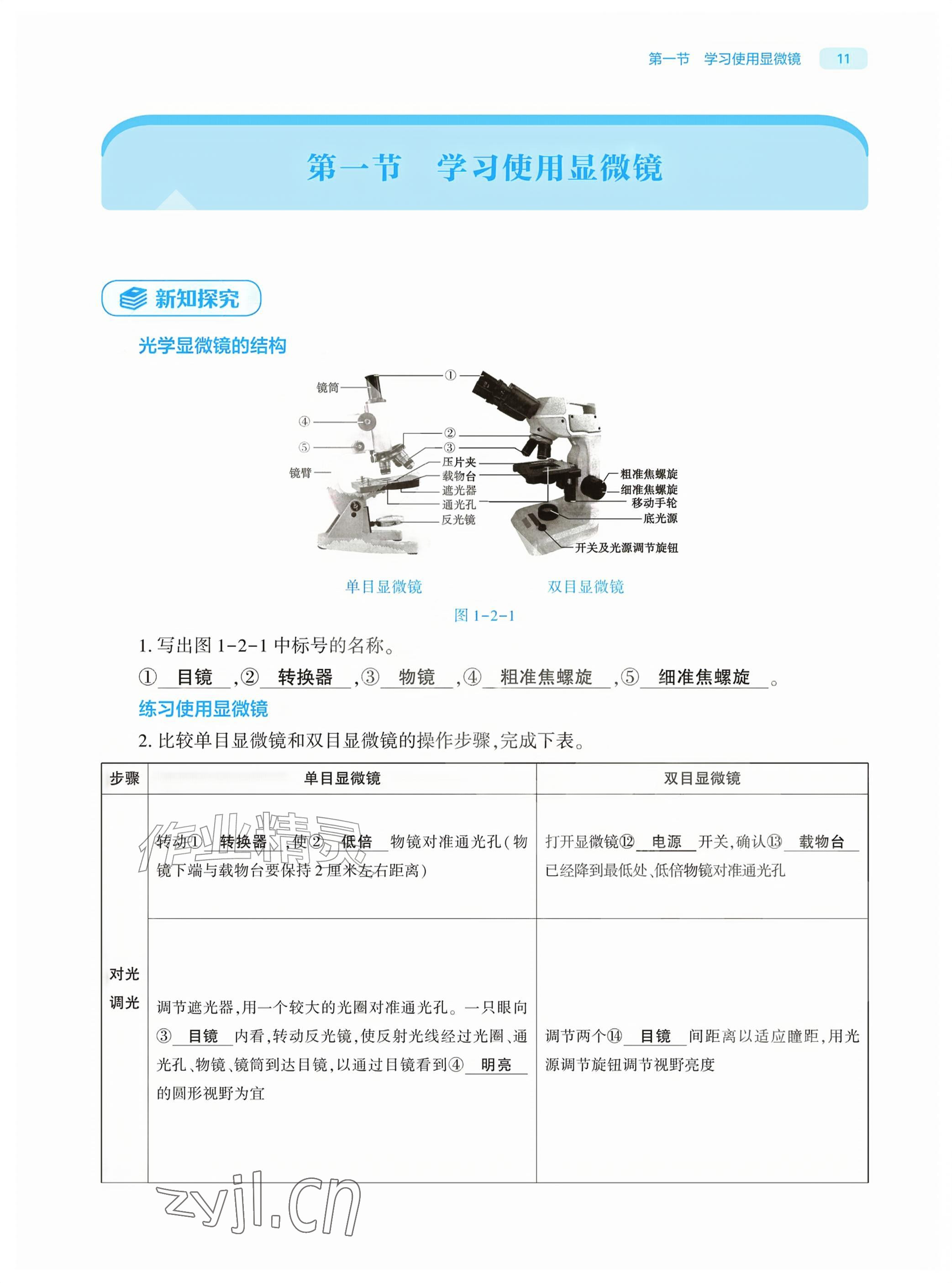 2026年基础训练大象出版社七年级生物上册人教版&nbsp;参考答案第11页