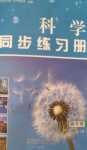 2024年同步練習冊山東友誼出版社四年級科學下冊教科版