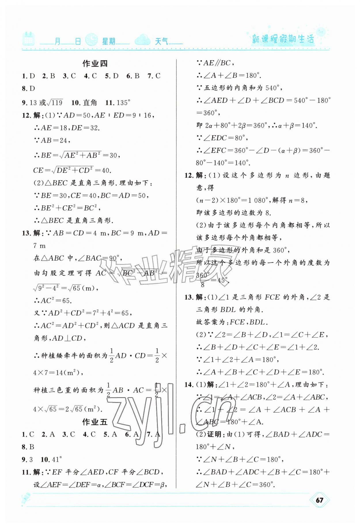 2026年新课程假期生活八年级数学&nbsp;第3页