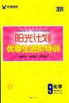 2024年陽光計劃優(yōu)等生進階特訓(xùn)九年級化學(xué)下冊人教版