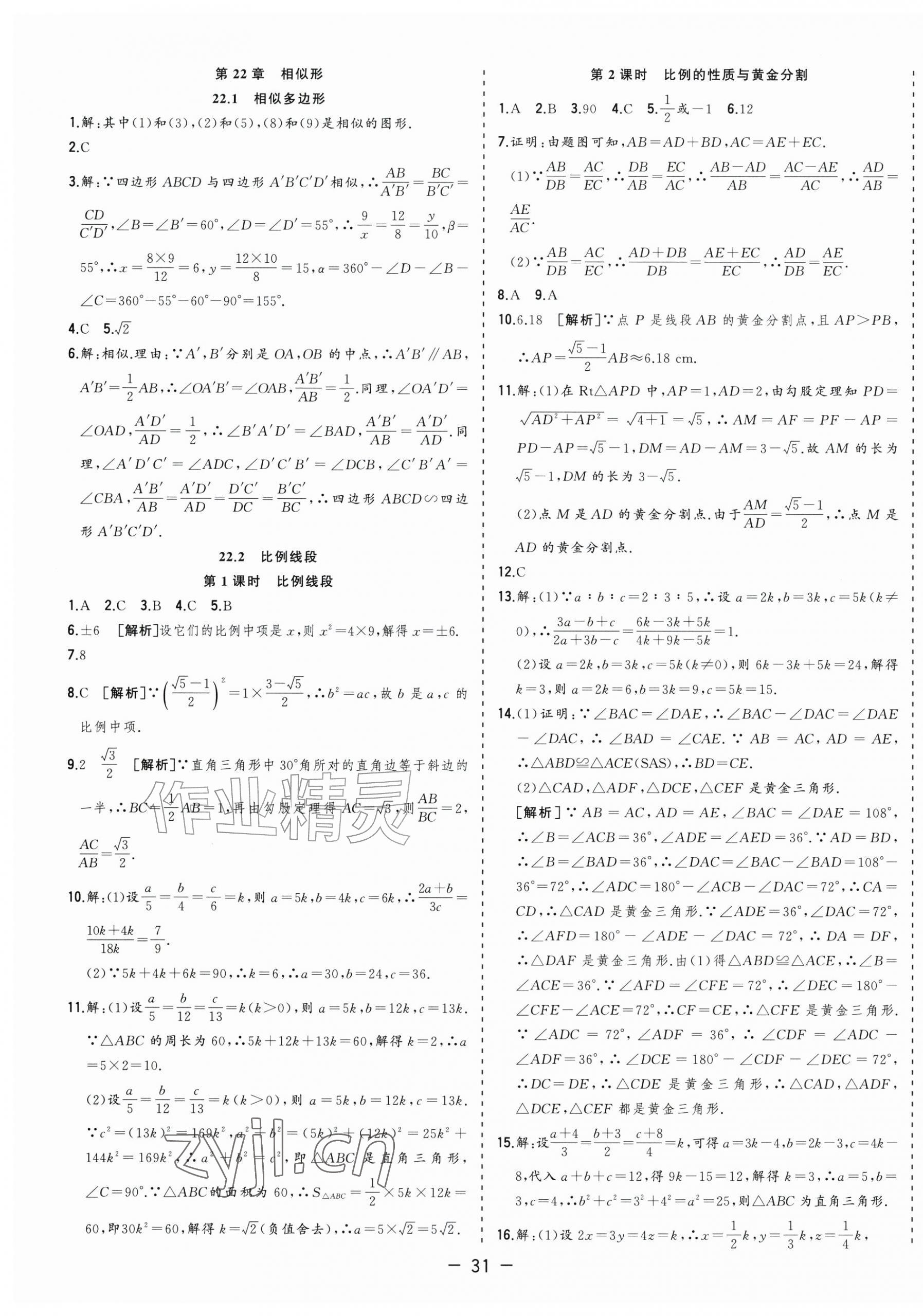 2026年全频道课时作业九年级数学上册沪科版&nbsp;第11页