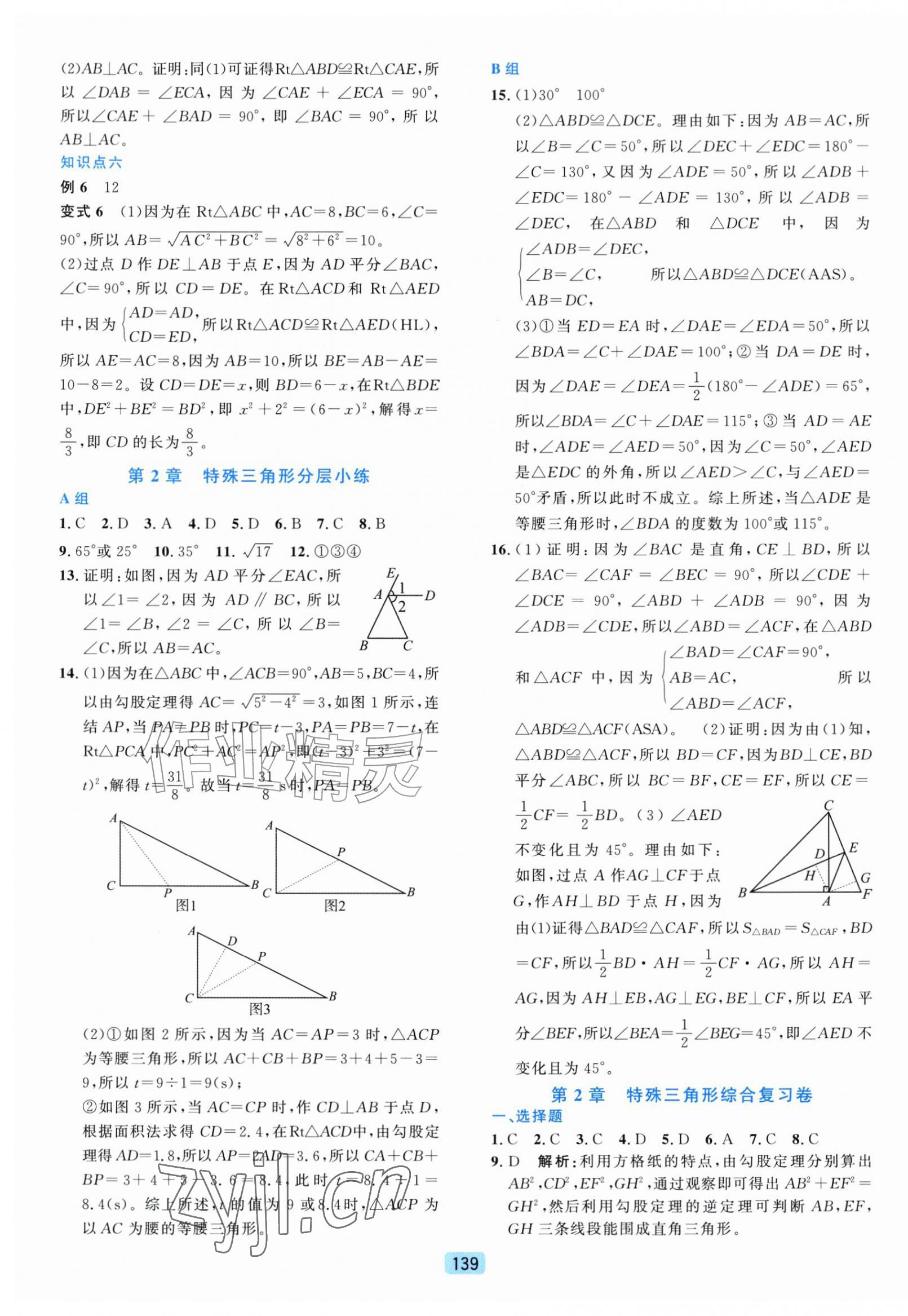 2026年初中全程阶段测评卷八年级数学上册浙教版&nbsp;第7页