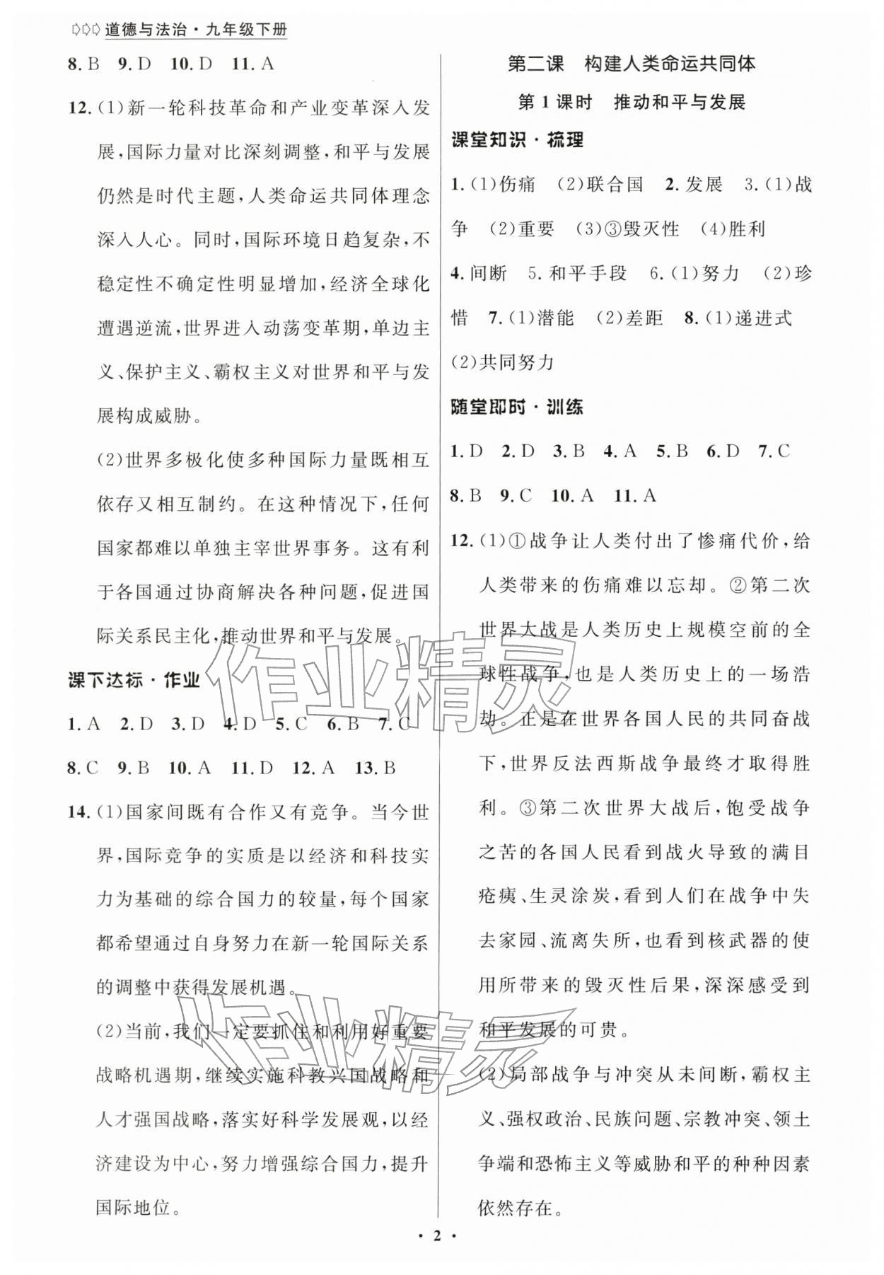 2026年学生成长册九年级道德与法治下册人教版&nbsp;第2页