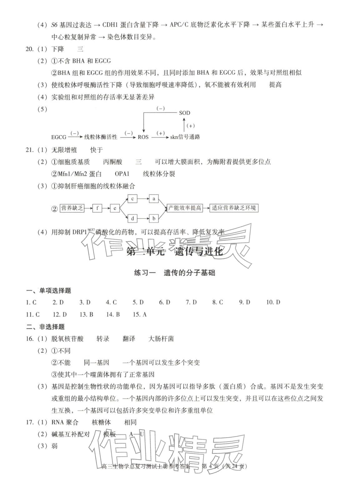 2025年新课程高考总复习丛书高三总复习测试高三生物上册通用版&nbsp;第4页