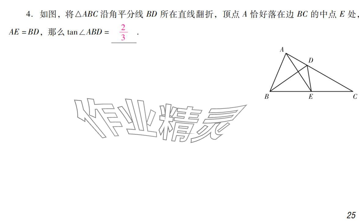 2024年激智数学中考&nbsp;参考答案第25页