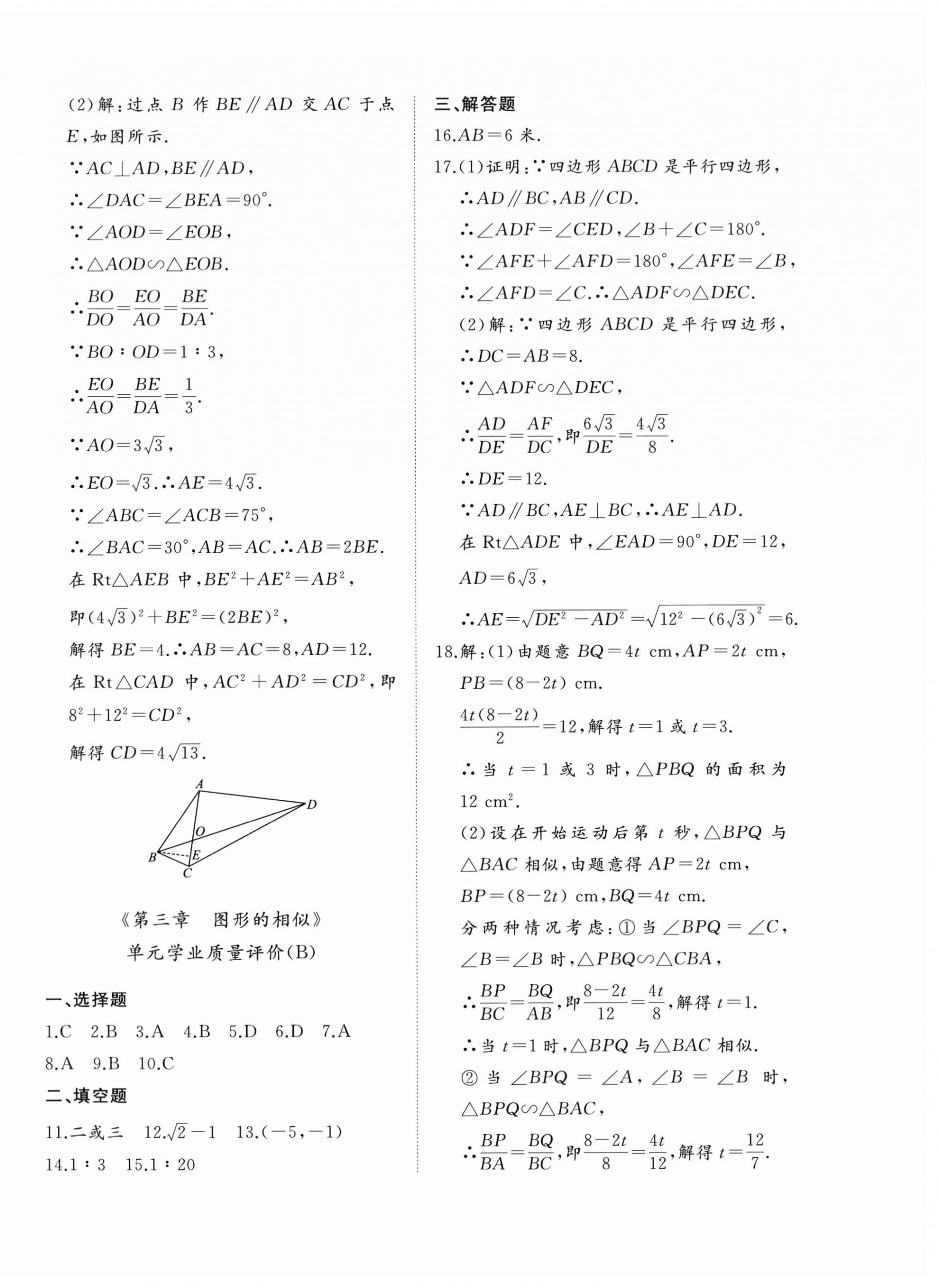 2026年精练课堂分层作业九年级数学上册北师大版&nbsp;参考答案第12页