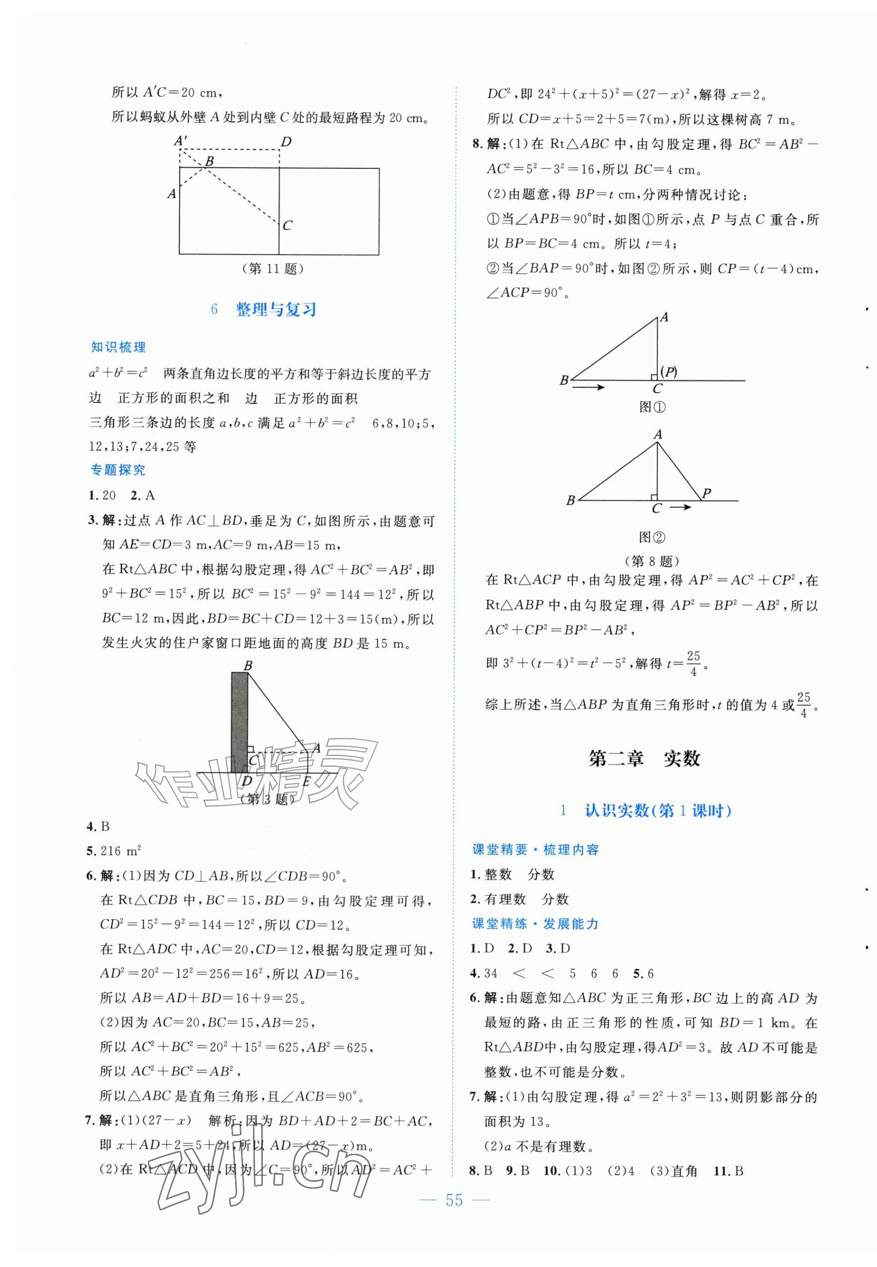 2026年课堂精练八年级数学上册北师大版山西专版&nbsp;第3页