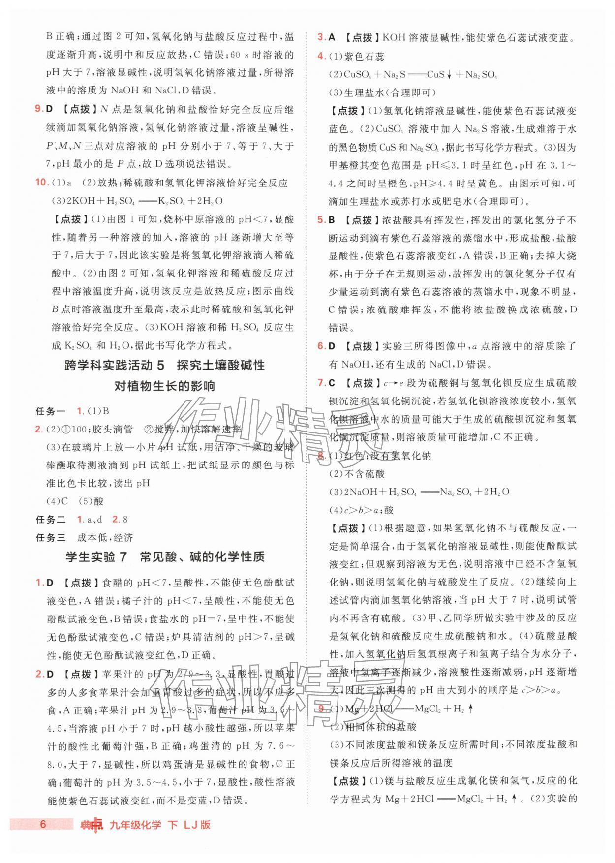 2026年综合应用创新题典中点九年级化学下册鲁教版&nbsp;第6页