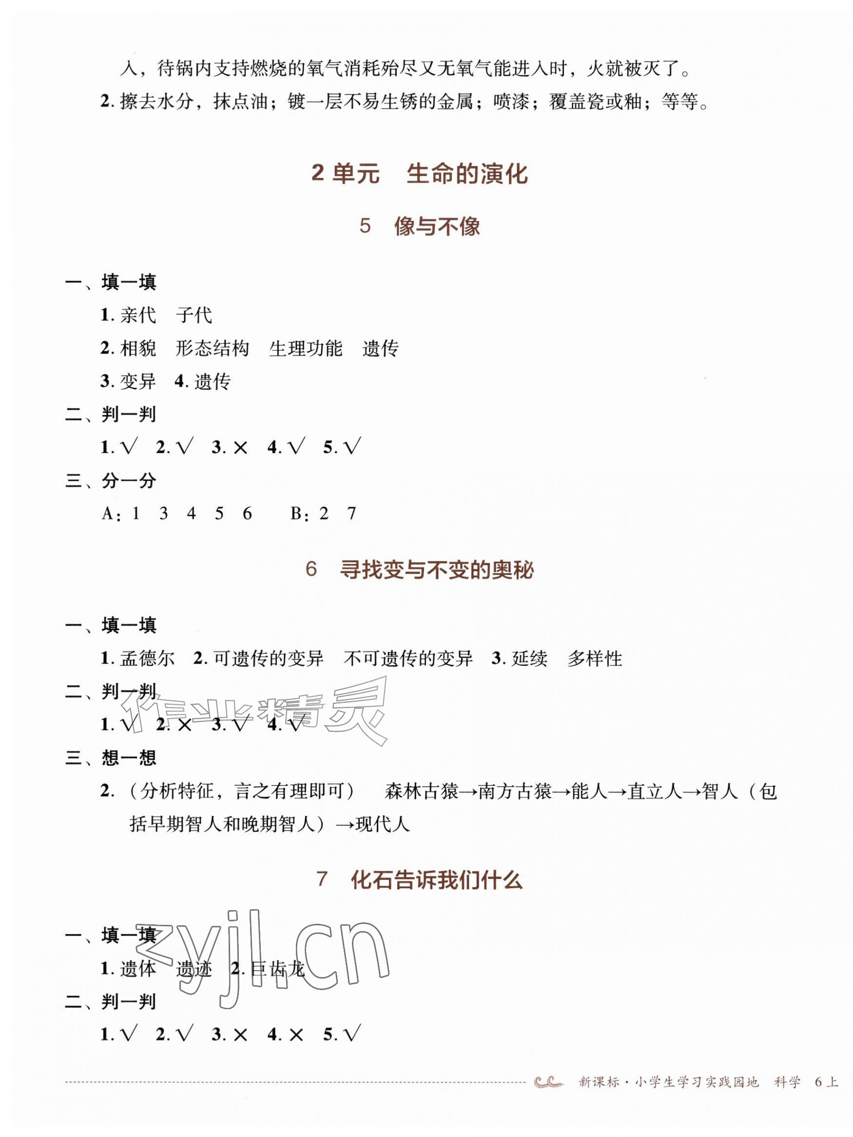 2026年学习实践园地六年级科学上册苏教版&nbsp;第3页