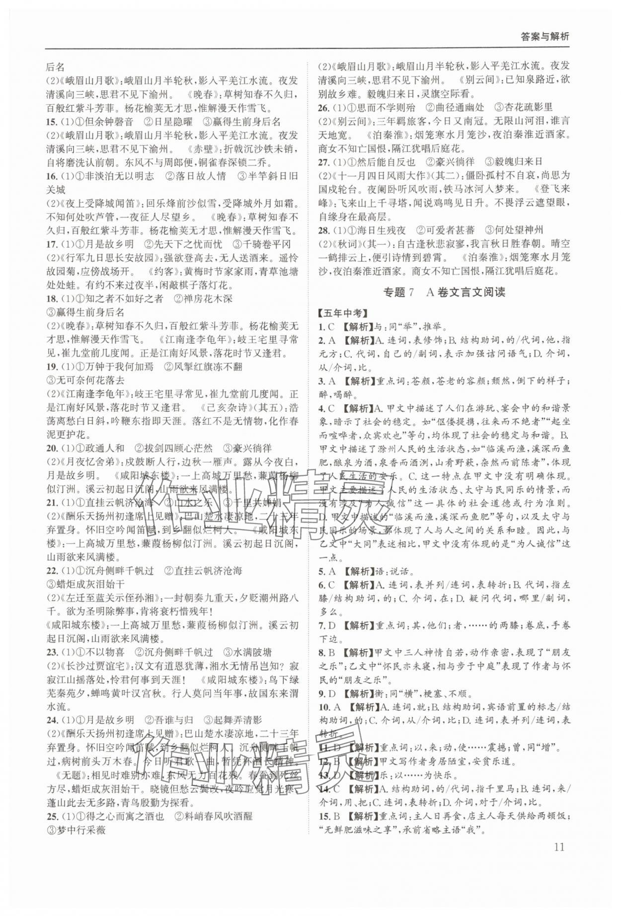 2025年实至中考核心考点精编语文中考成都专版&nbsp;第11页