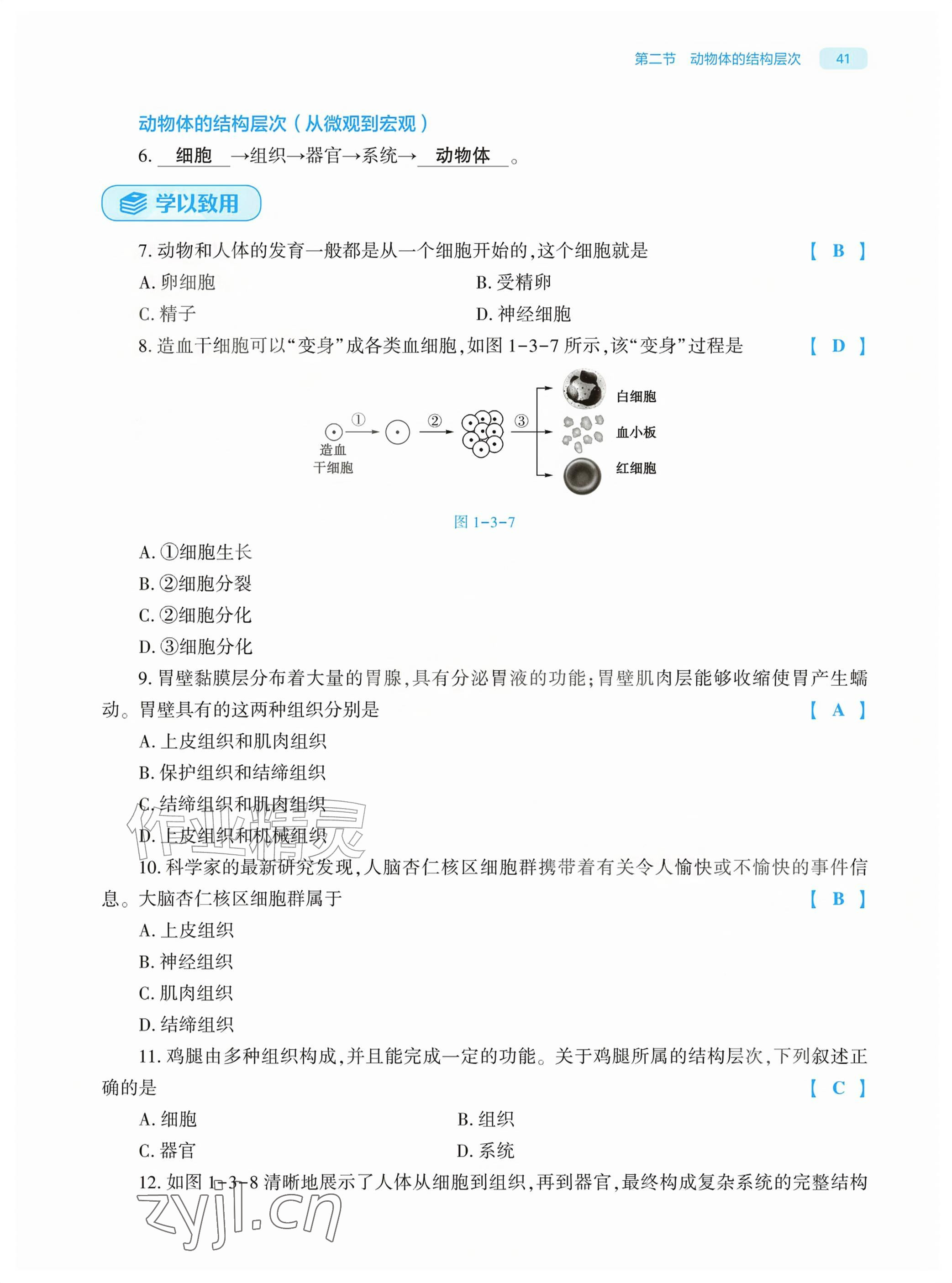 2026年基础训练大象出版社七年级生物上册人教版&nbsp;参考答案第41页