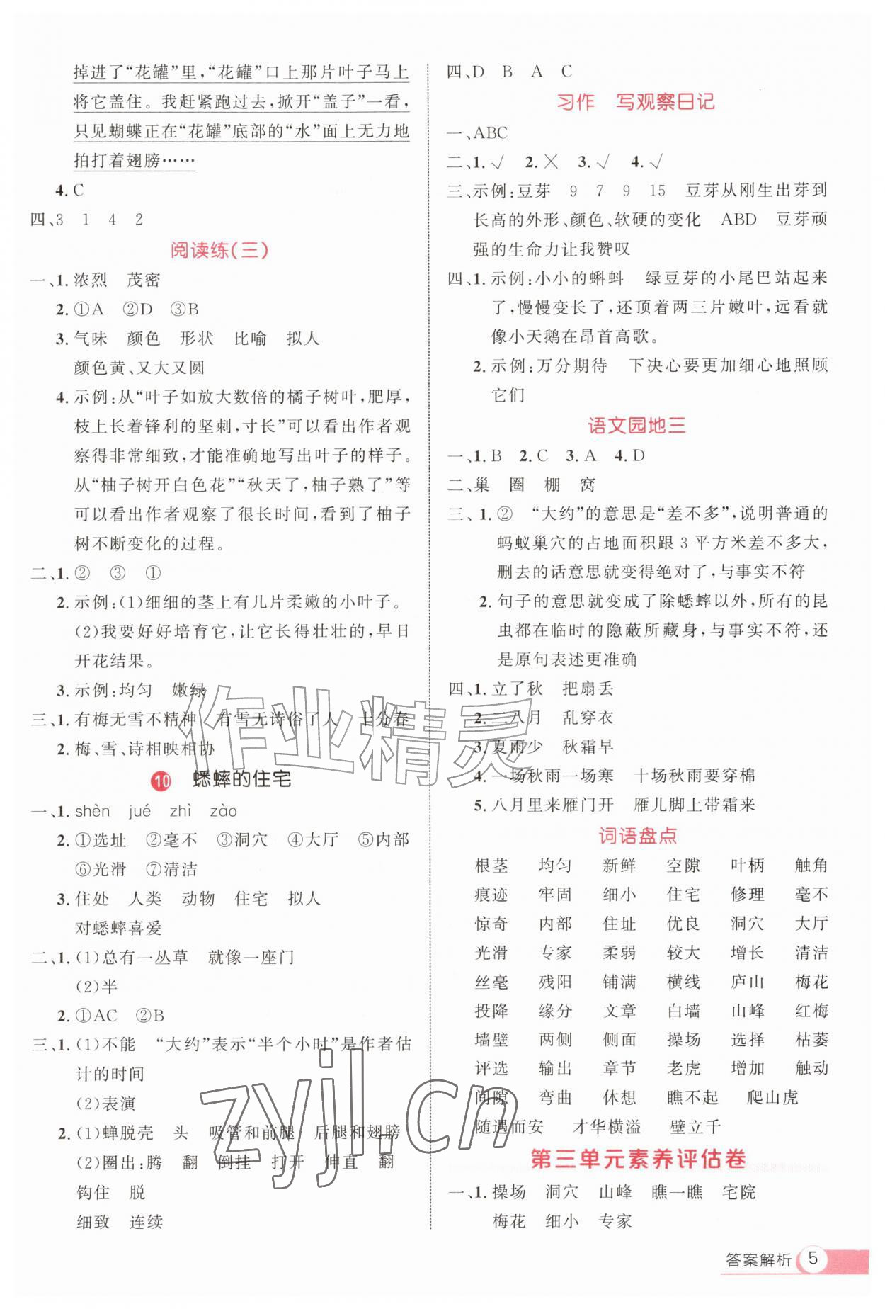 2026年细解巧练四年级语文上册人教版&nbsp;参考答案第5页