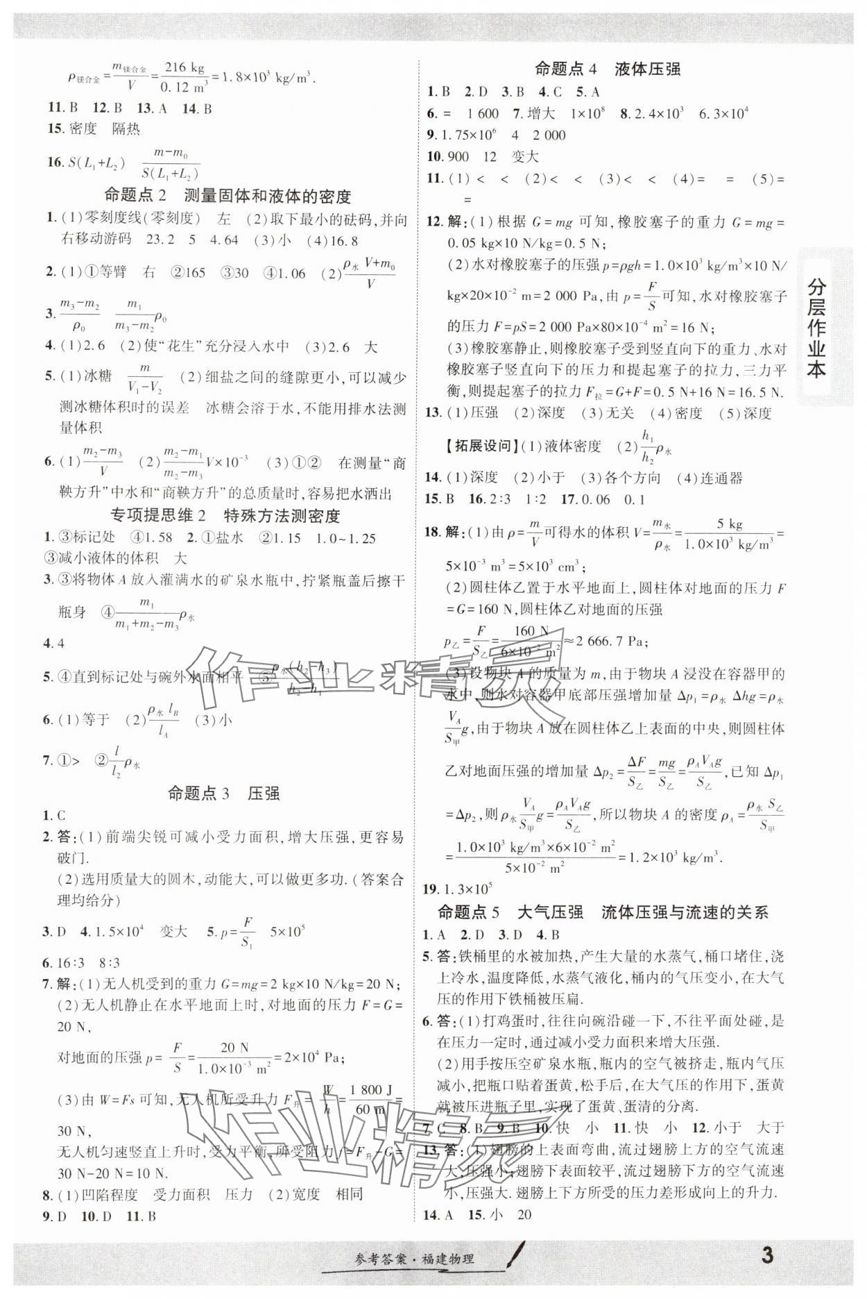 2025年一战成名考前新方案物理福建专版&nbsp;参考答案第3页