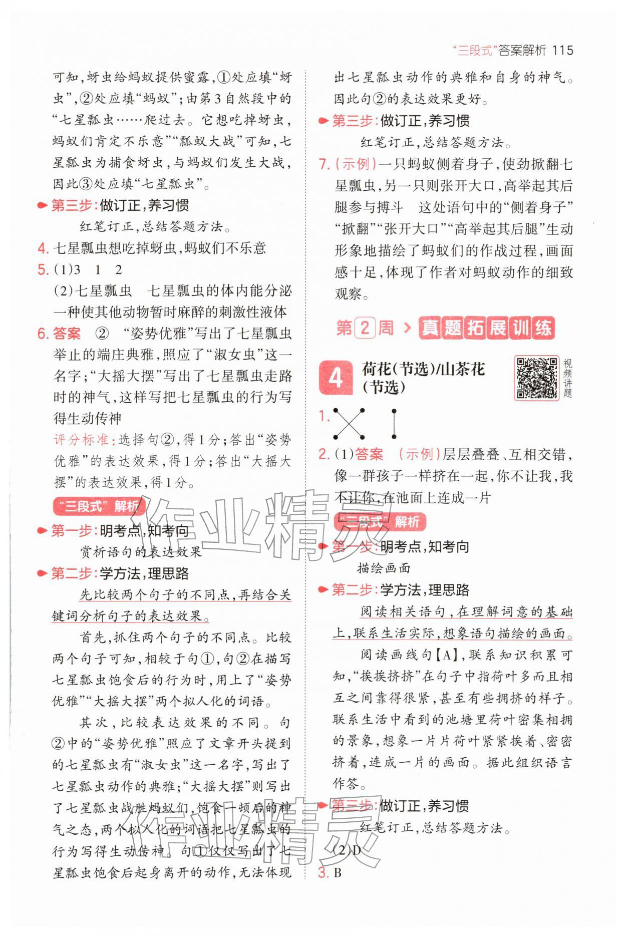 2026年一本小学语文同步阅读三年级下册人教版&nbsp;第3页