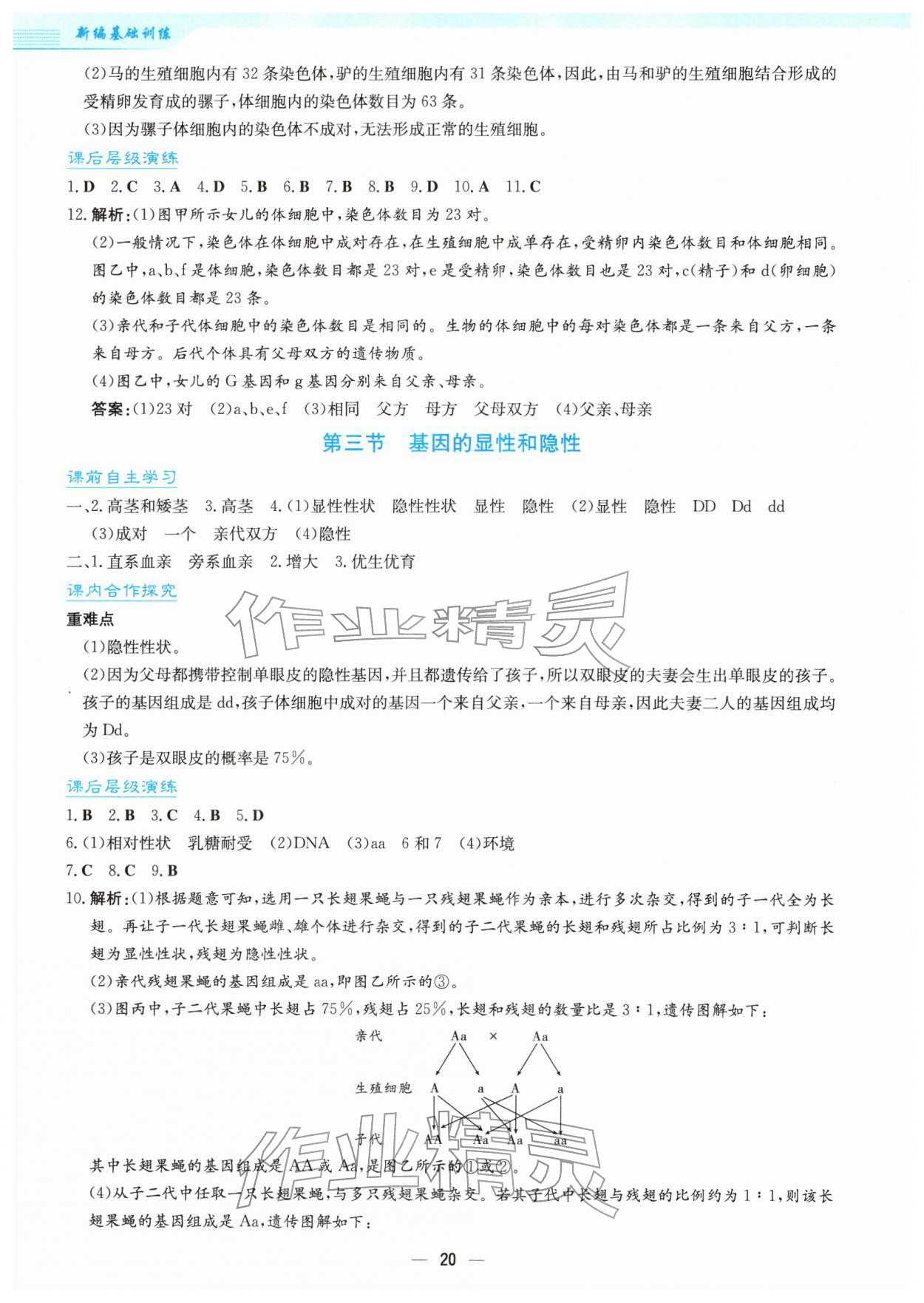 2026年新编基础训练八年级生物下册人教版&nbsp;第4页