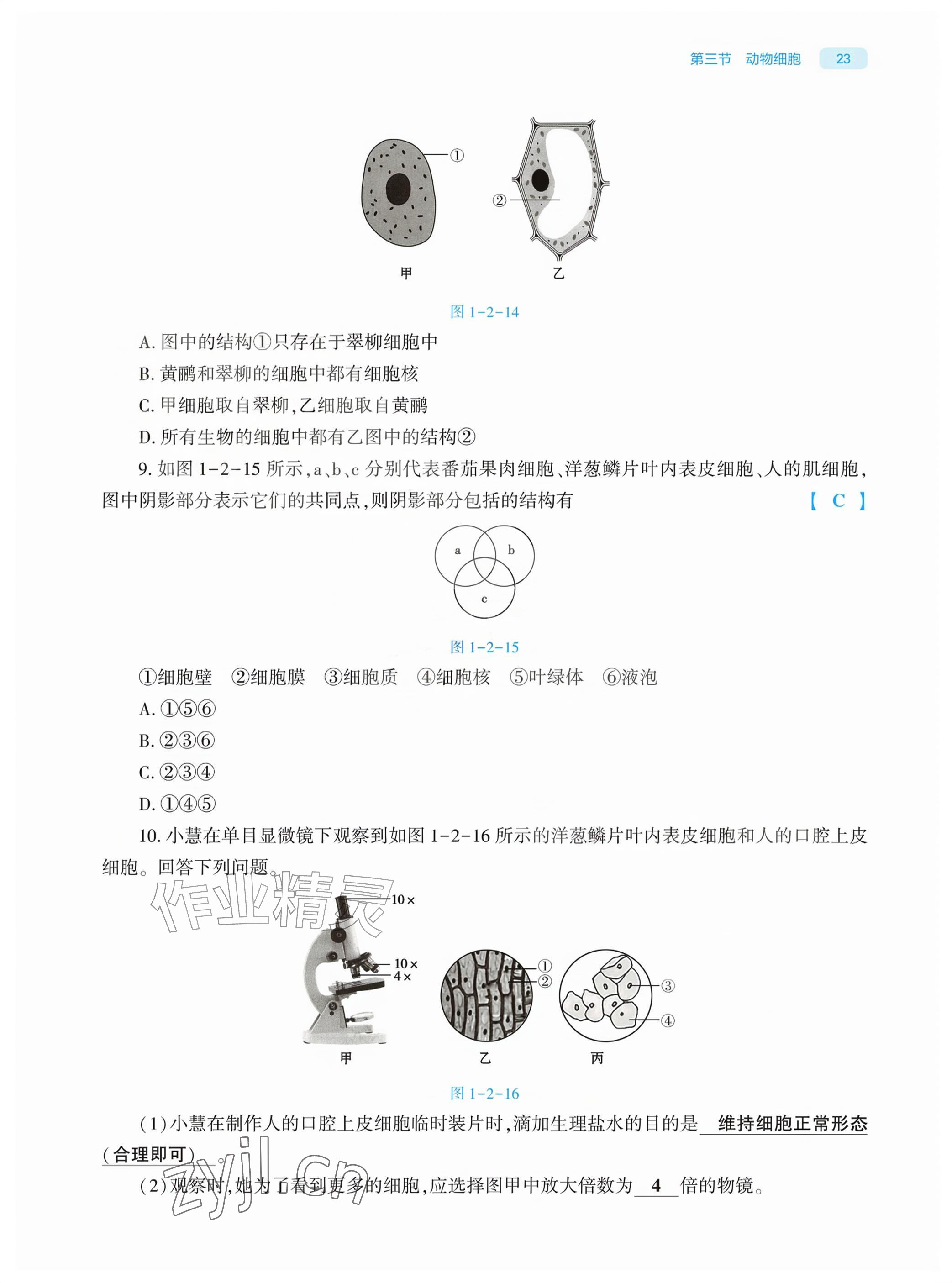 2026年基础训练大象出版社七年级生物上册人教版&nbsp;参考答案第23页