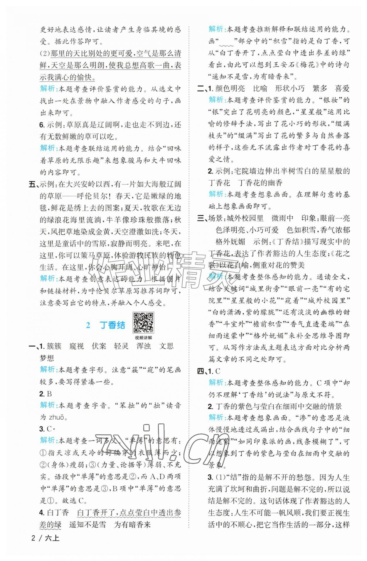 2026年阳光同学课时优化作业六年级语文上册人教版&nbsp;参考答案第2页