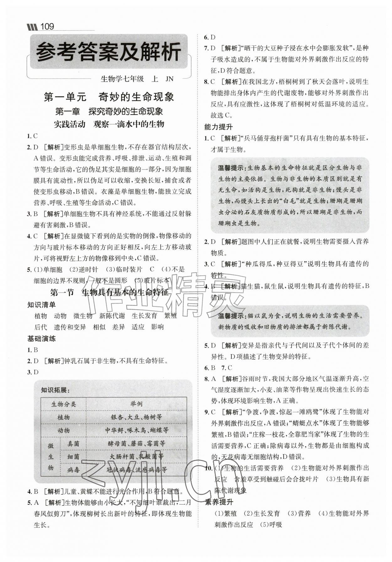 2026年同行学案七年级生物上册济南版&nbsp;参考答案第1页