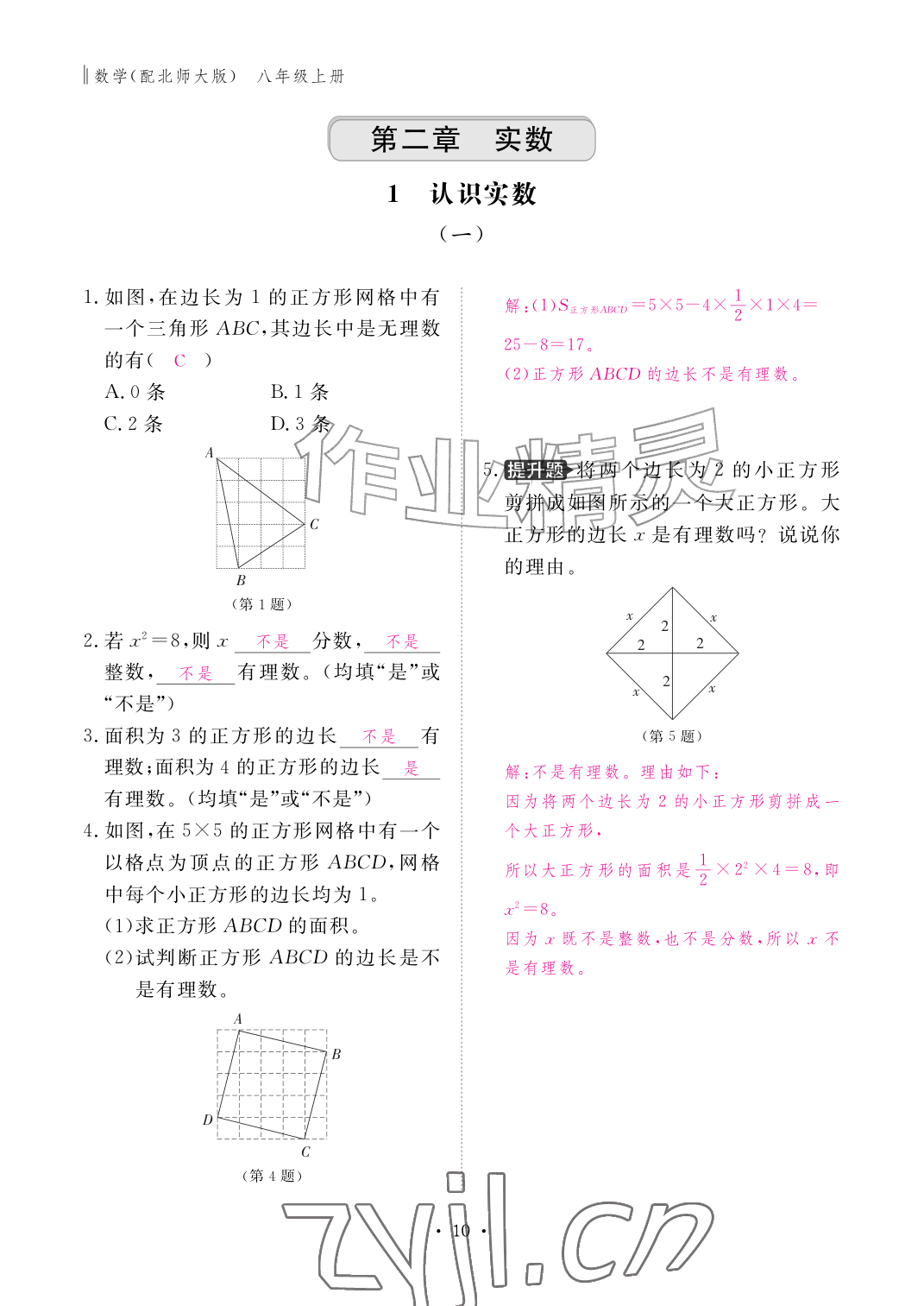 2026年作业本江西教育出版社八年级数学上册北师大版&nbsp;参考答案第10页