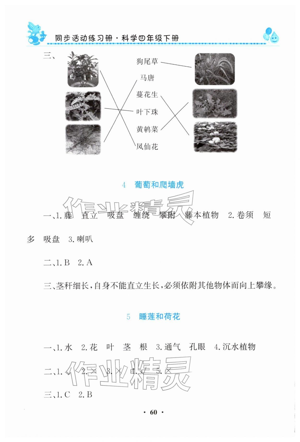 2026年同步活动练习册四年级科学下册科粤版&nbsp;第2页