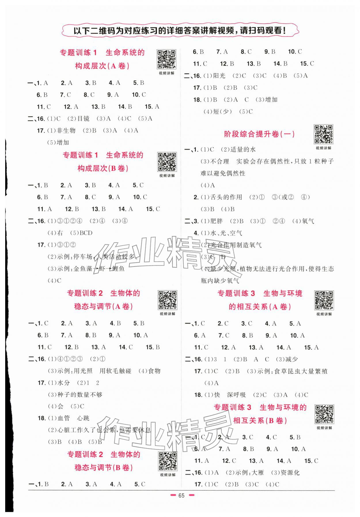 2026年阳光同学小学毕业升学系统总复习科学&nbsp;参考答案第1页