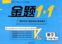 2024年金題1加1八年級數(shù)學下冊滬科版