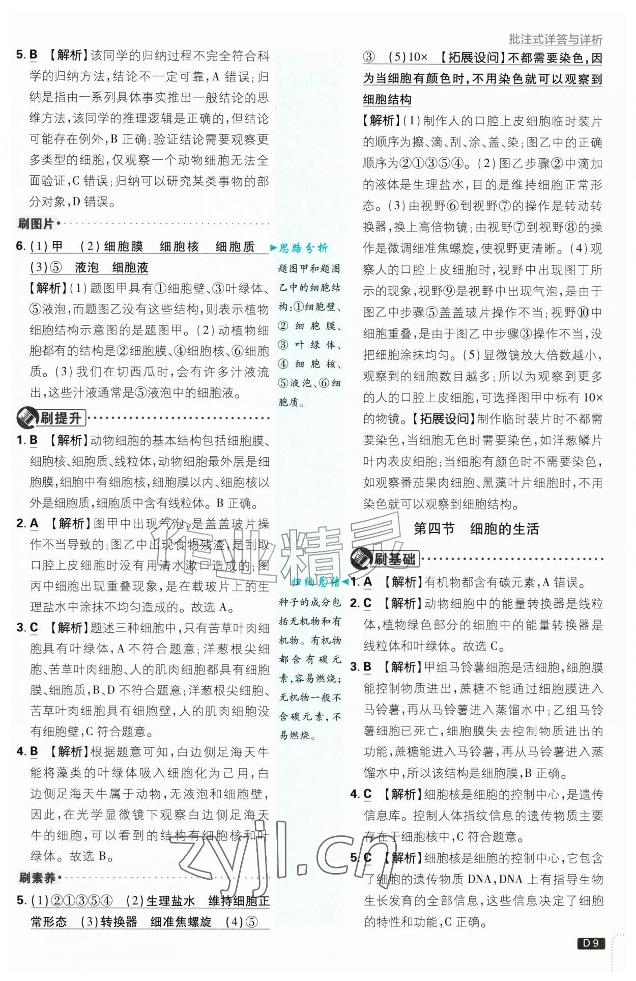2026年初中必刷题七年级生物上册人教版&nbsp;第9页