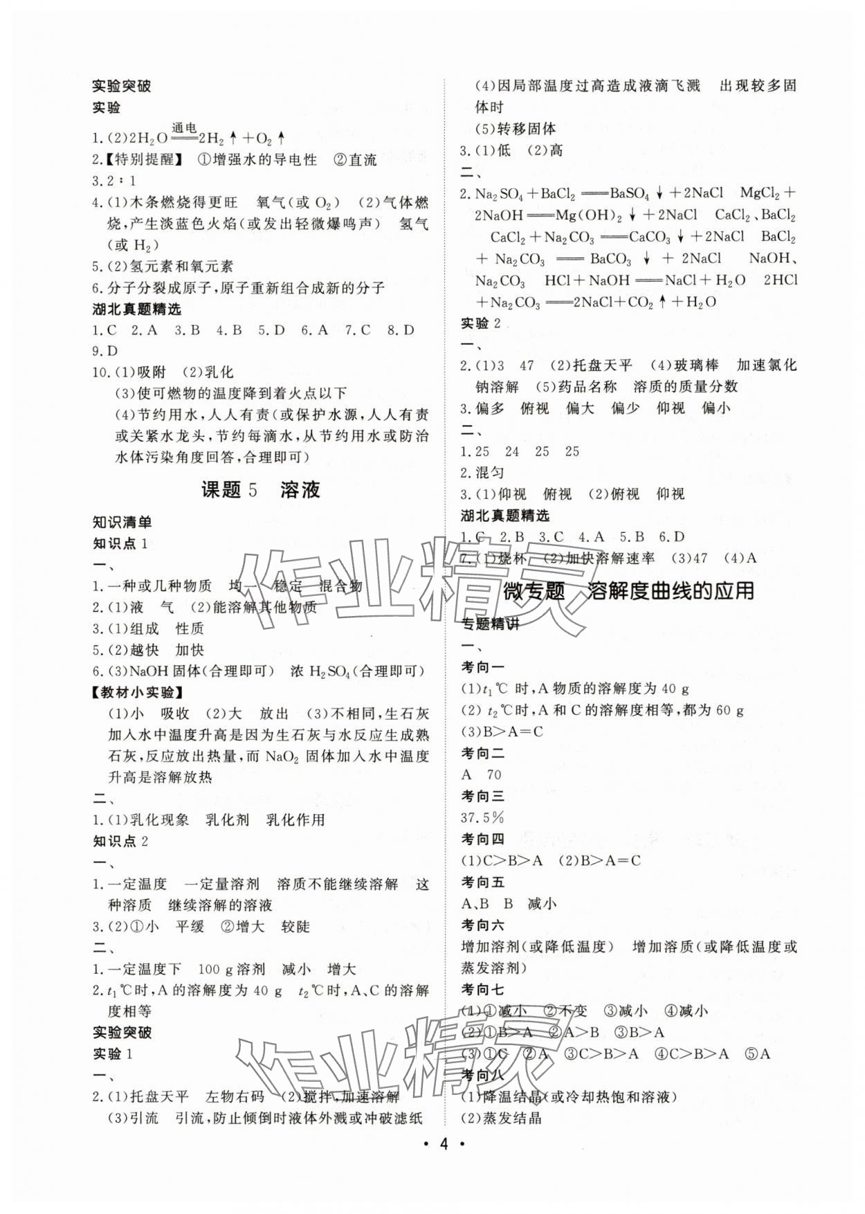 2025年湖北新中考备考与指导化学 第4页
