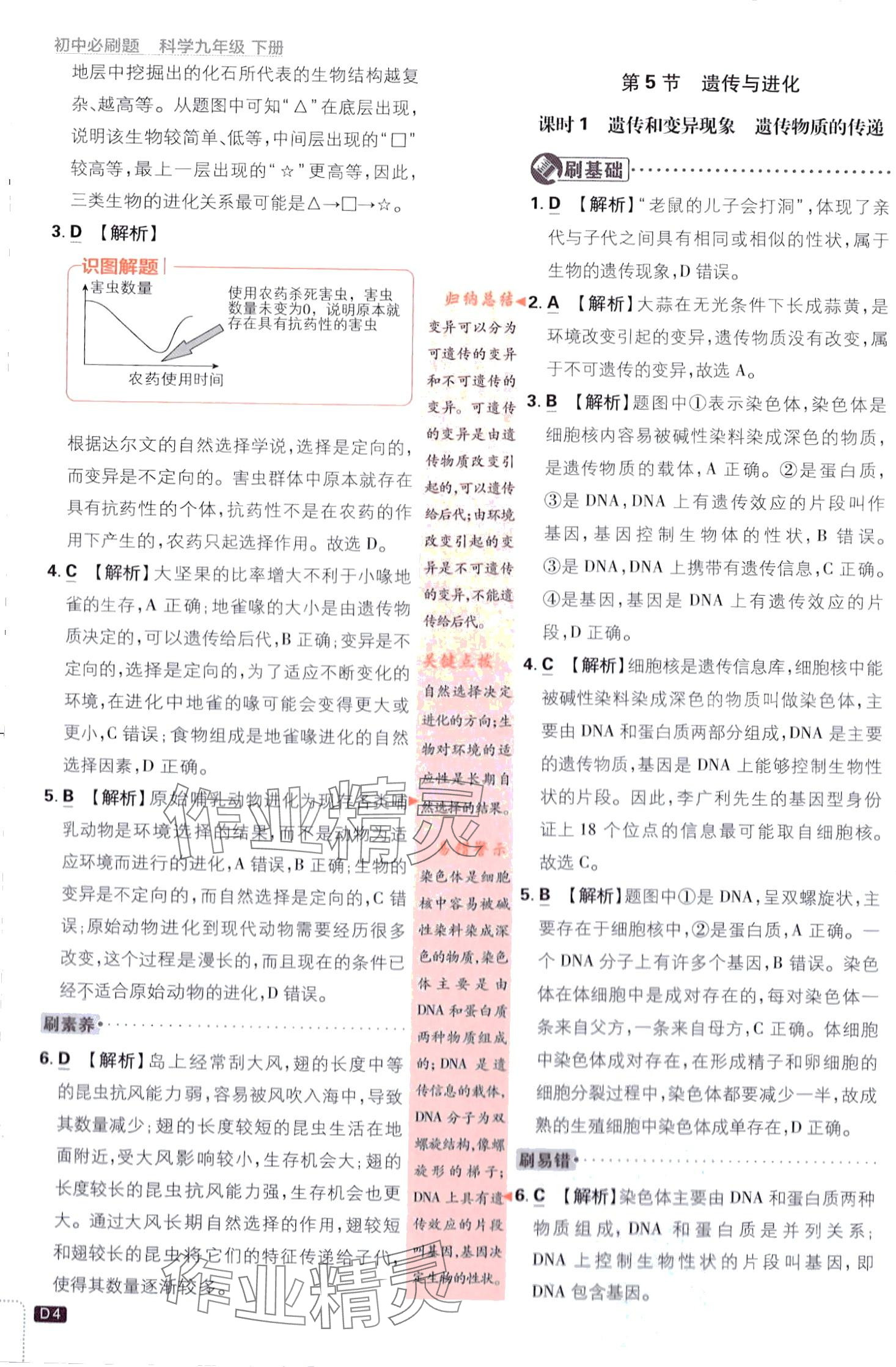 2024年初中必刷题九年级科学下册浙教版浙江专版&nbsp;第4页