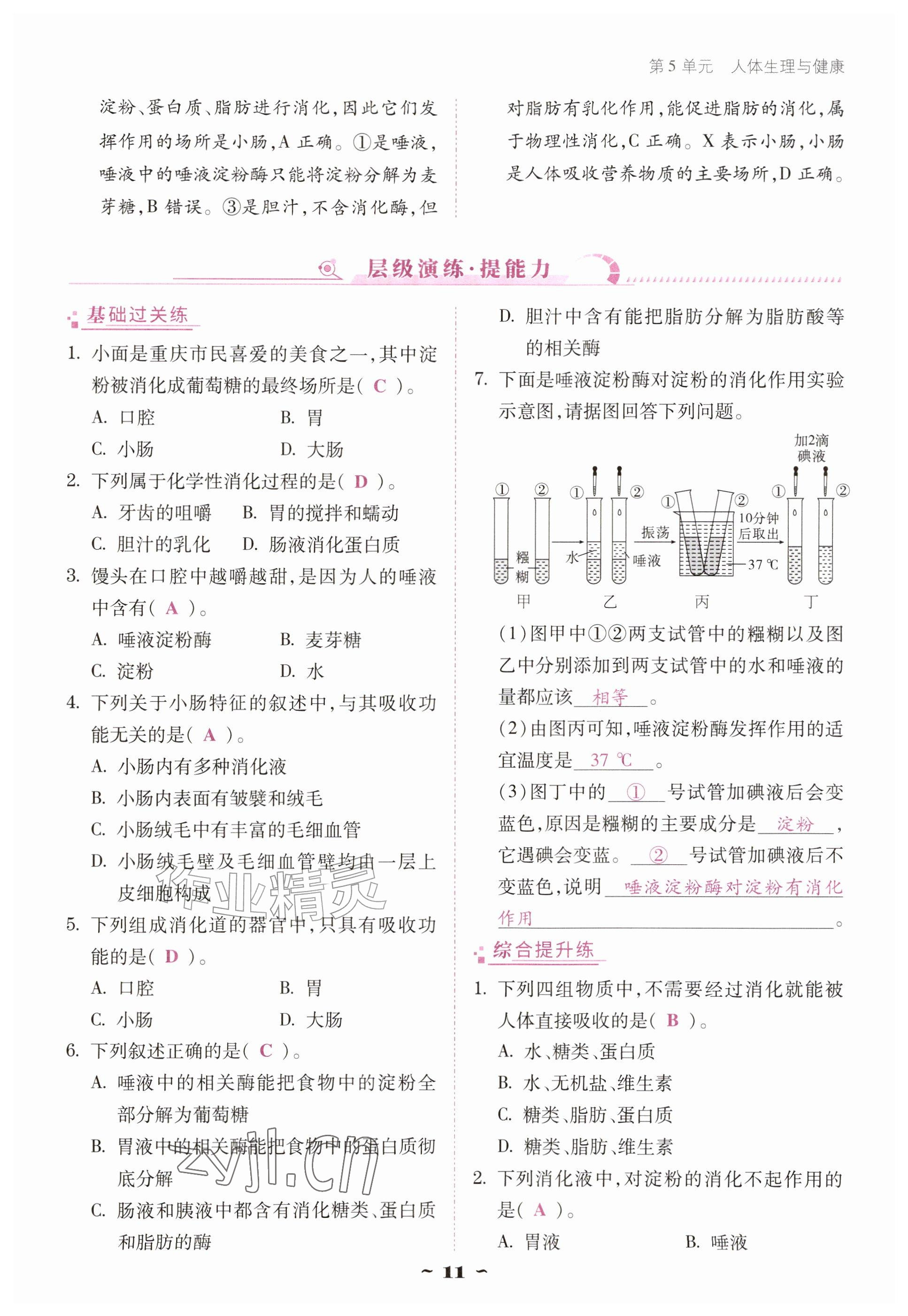 2026年优佳学案（云南）八年级生物上册苏教版&nbsp;参考答案第11页