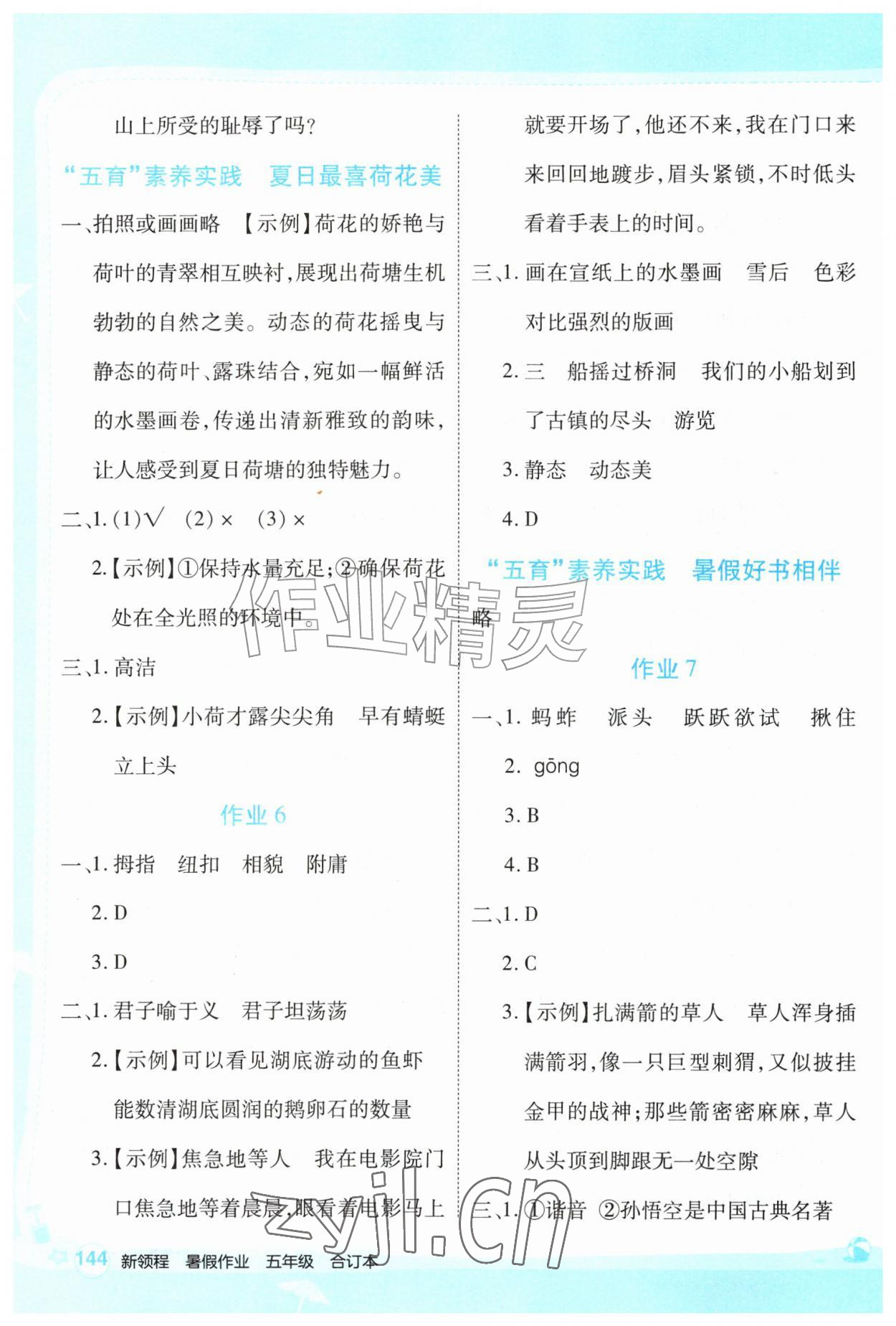 2026年新领程暑假作业五年级综合贵州专版&nbsp;第4页