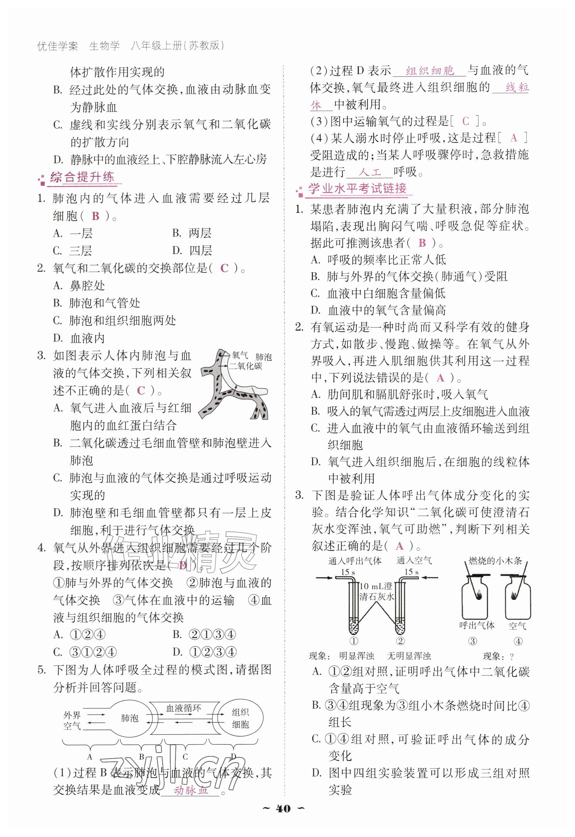 2026年优佳学案（云南）八年级生物上册苏教版&nbsp;参考答案第40页
