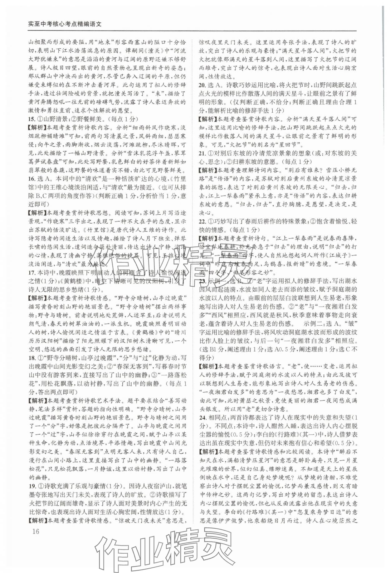 2025年实至中考核心考点精编语文中考成都专版&nbsp;第16页