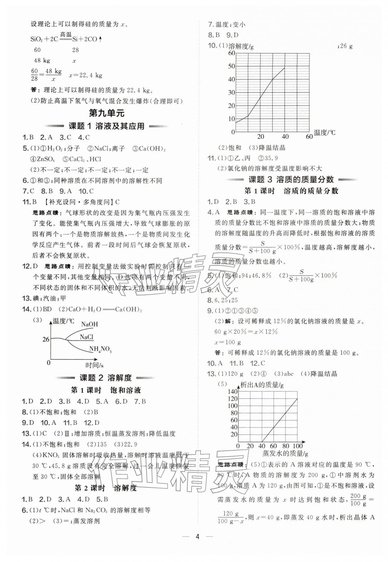 2026年点拨训练九年级化学下册人教版安徽专版&nbsp;第4页