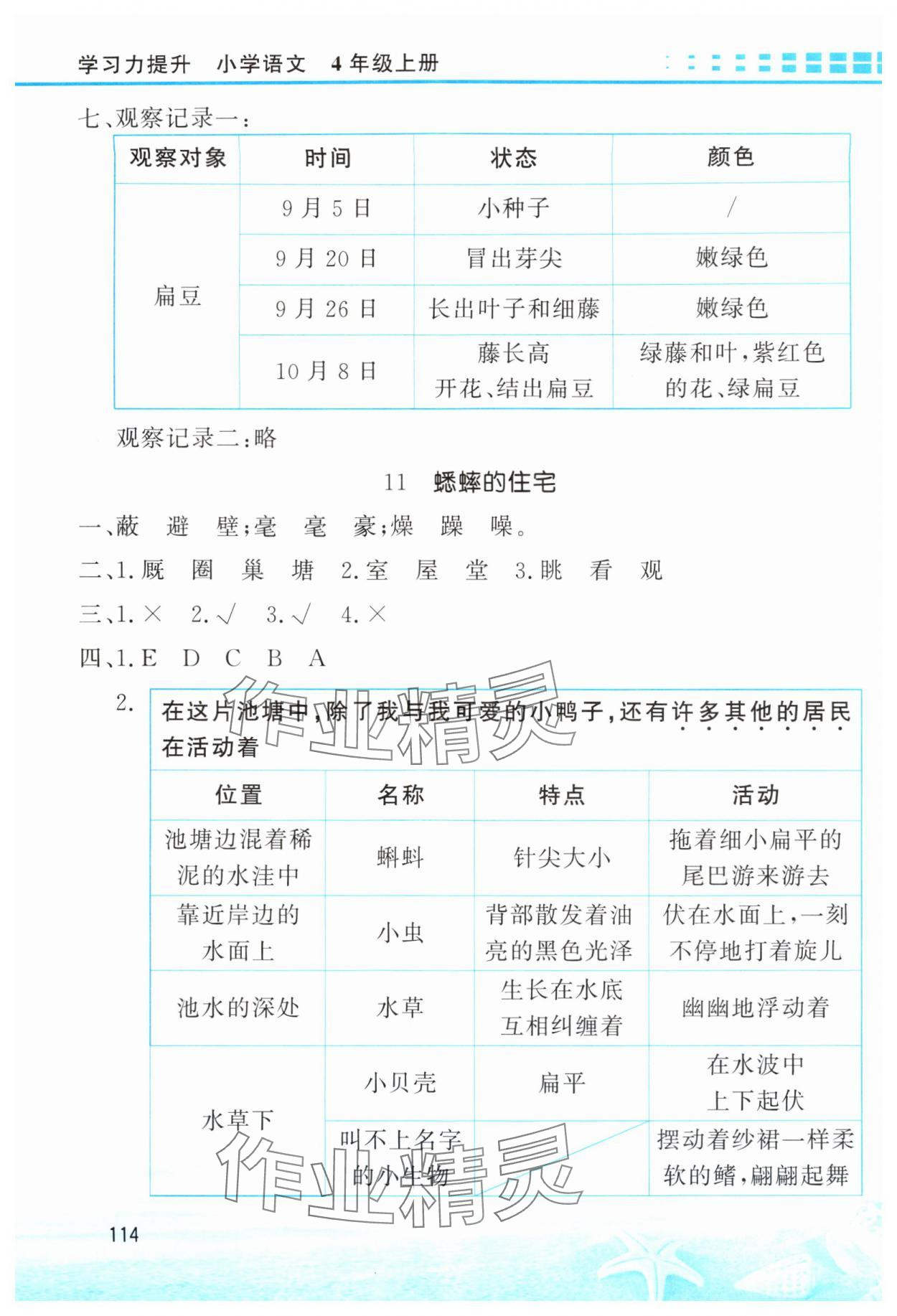 2025年学习力提升四年级语文上册人教版&nbsp;第6页