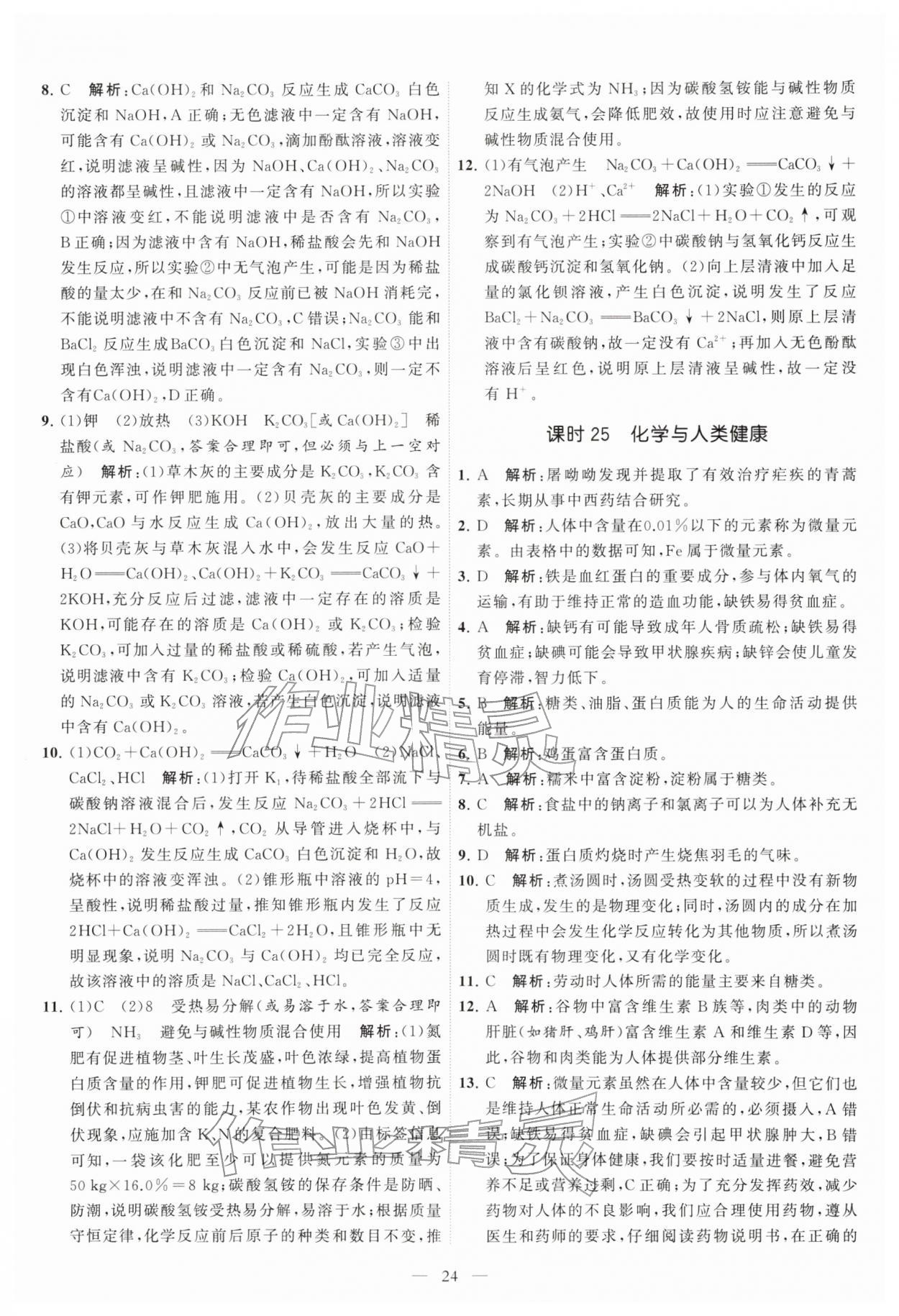 2026年中考得高分全程提优计划化学&nbsp;第24页