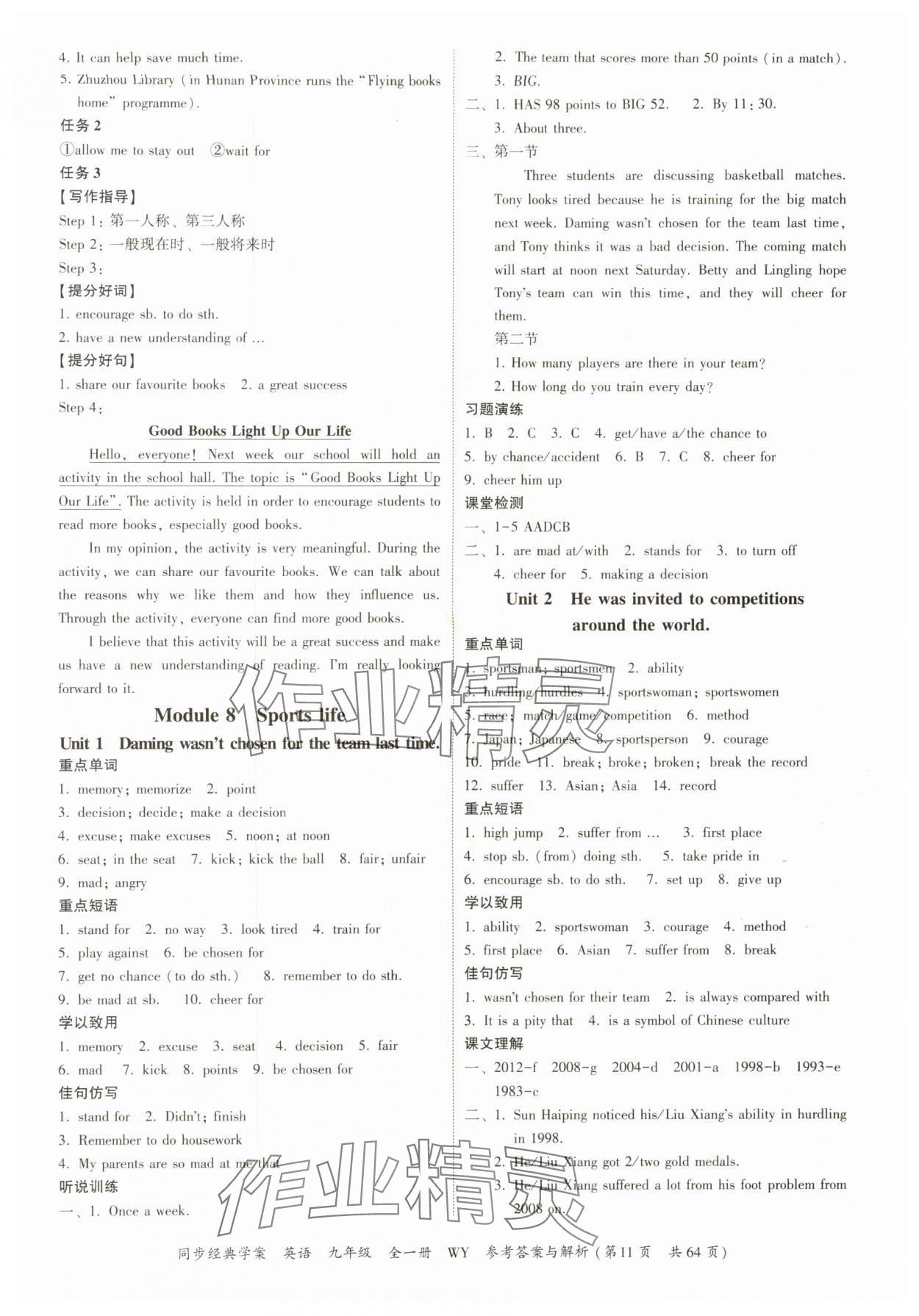2025年同步经典学案九年级英语全一册外研版&nbsp;第11页