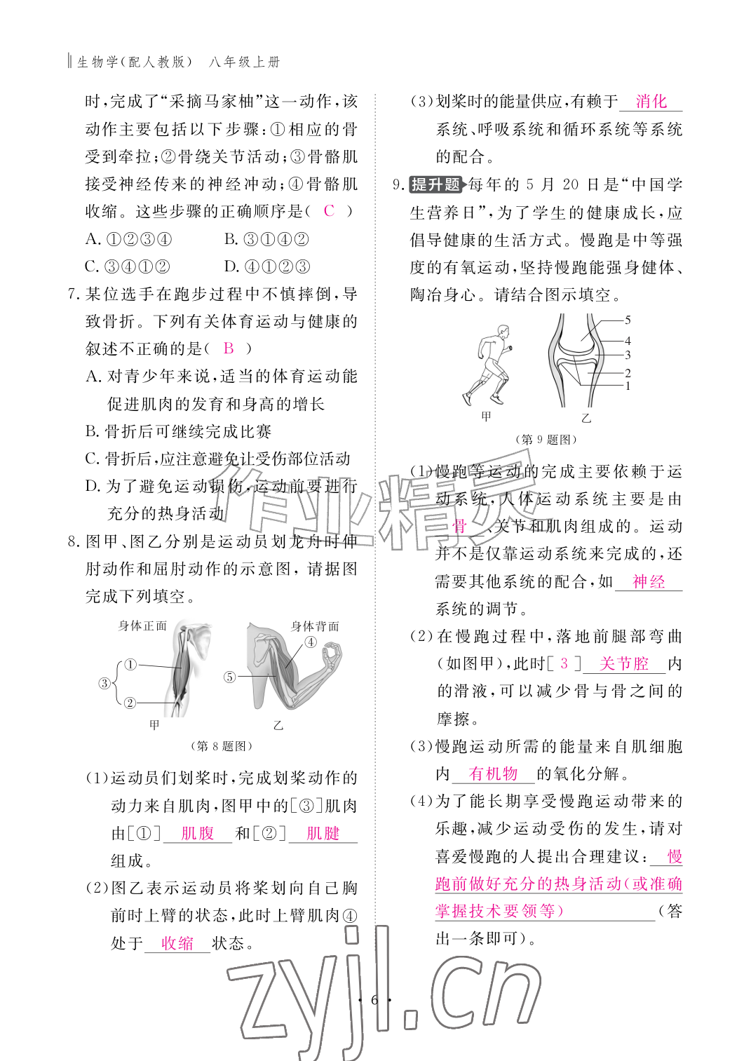 2026年作业本江西教育出版社八年级生物上册人教版&nbsp;参考答案第6页