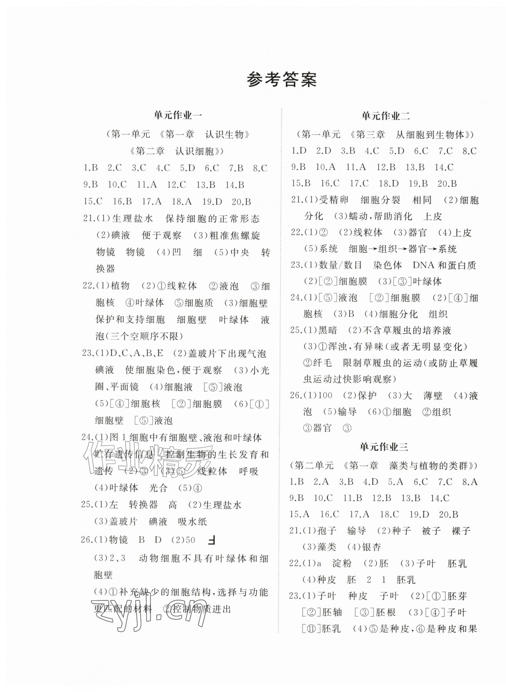 2026年精练课堂分层作业七年级生物上册人教版临沂专版&nbsp;第1页