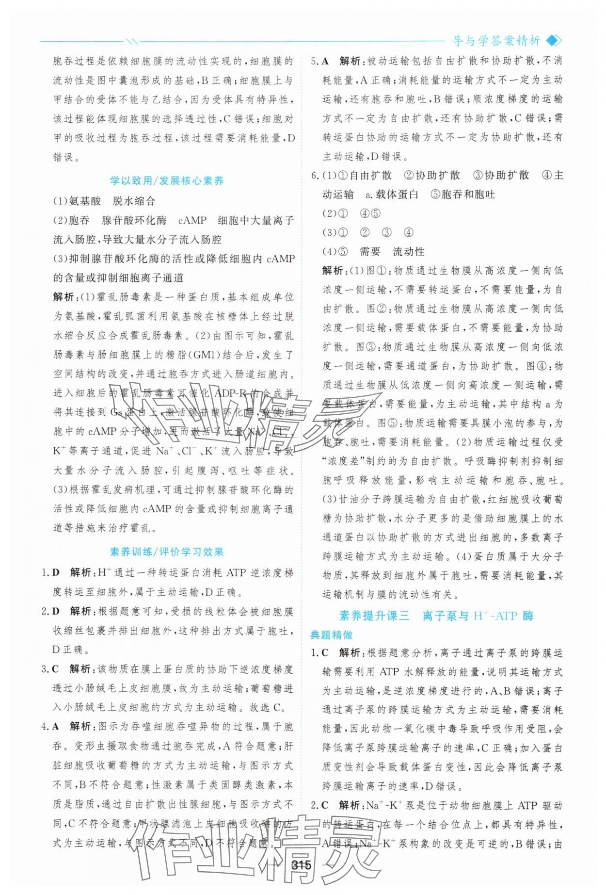 2025年新课程学习与测评高中生物必修1人教版&nbsp;参考答案第26页