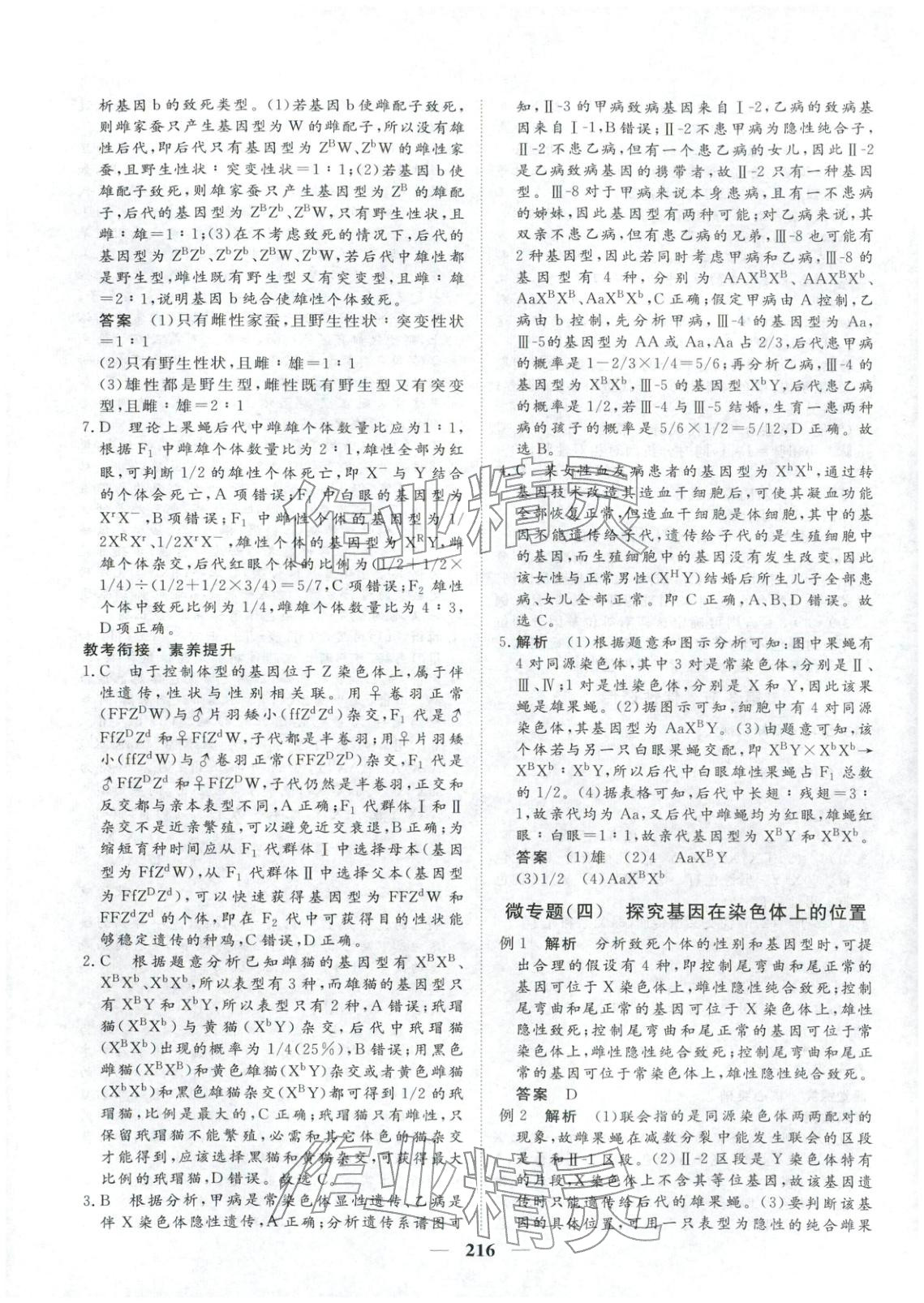 2025年维课金版高中生物必修第二册&nbsp;第11页