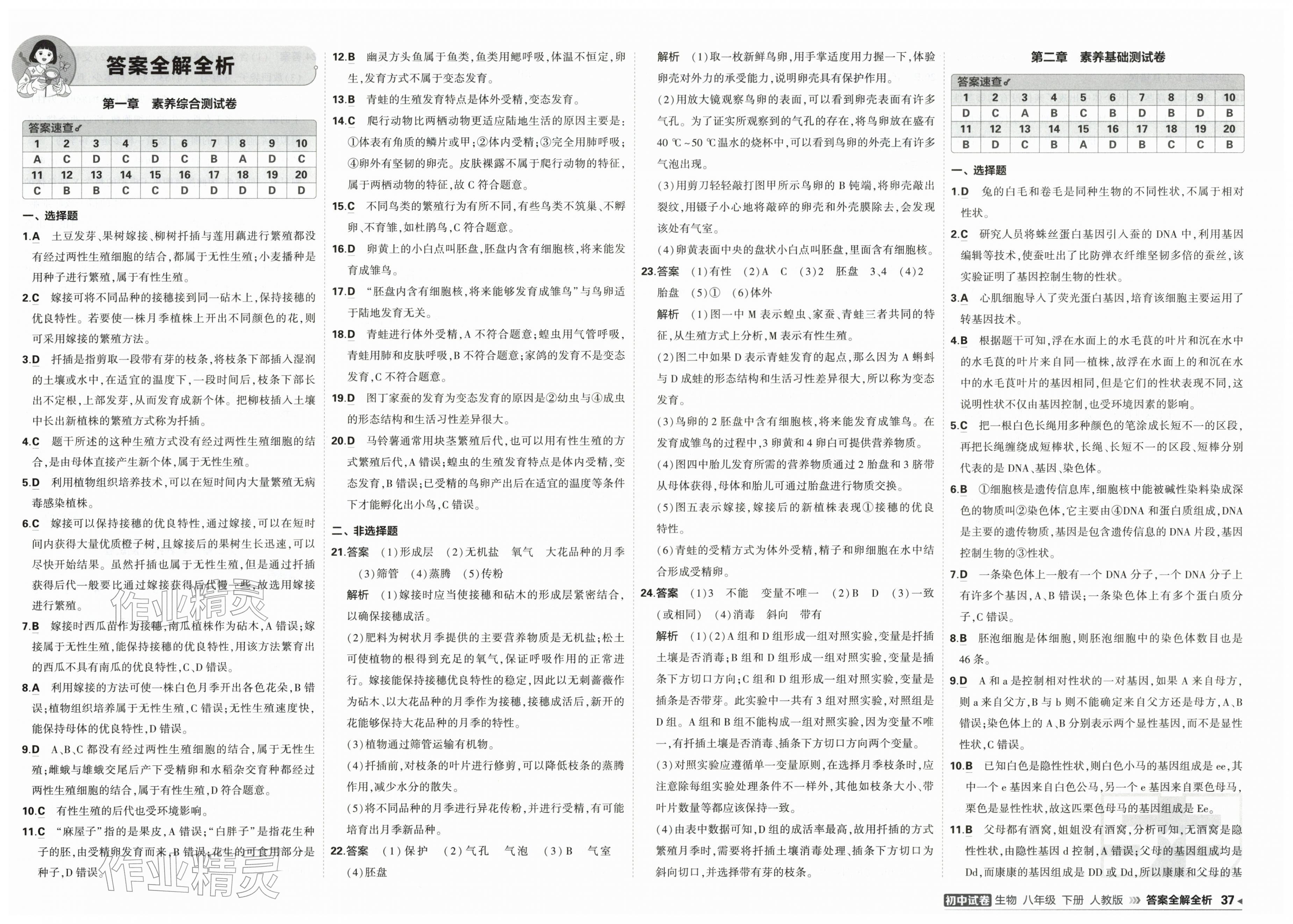 2026年5年中考3年模拟初中试卷八年级生物下册人教版&nbsp;第1页