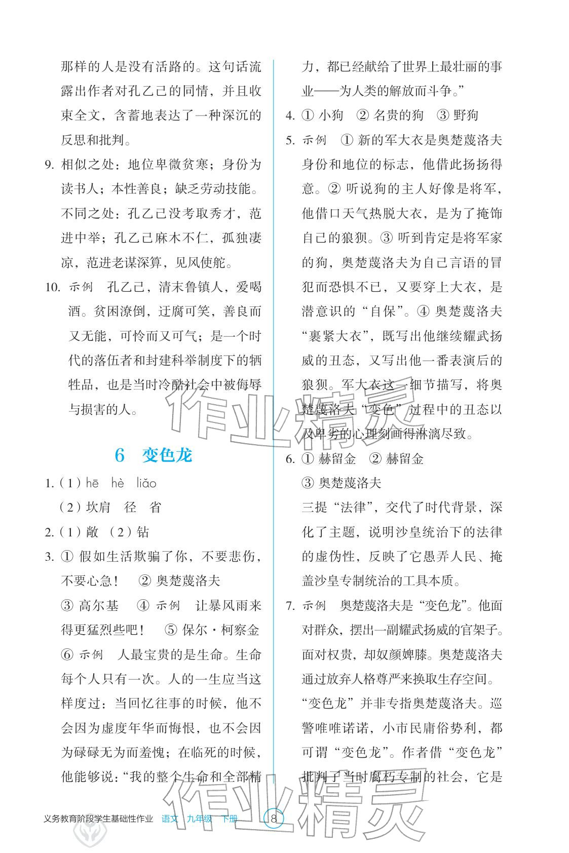 2026年学生基础性作业九年级语文下册人教版&nbsp;参考答案第8页